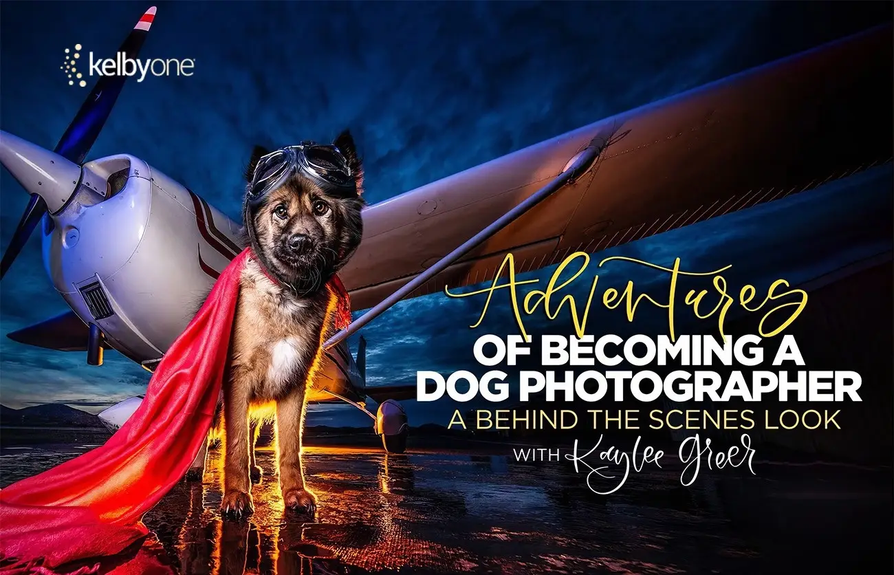 KelbyOne – Kaylee Greer宠物狗创意摄影完整指南教程-中英字幕-美夕摄影