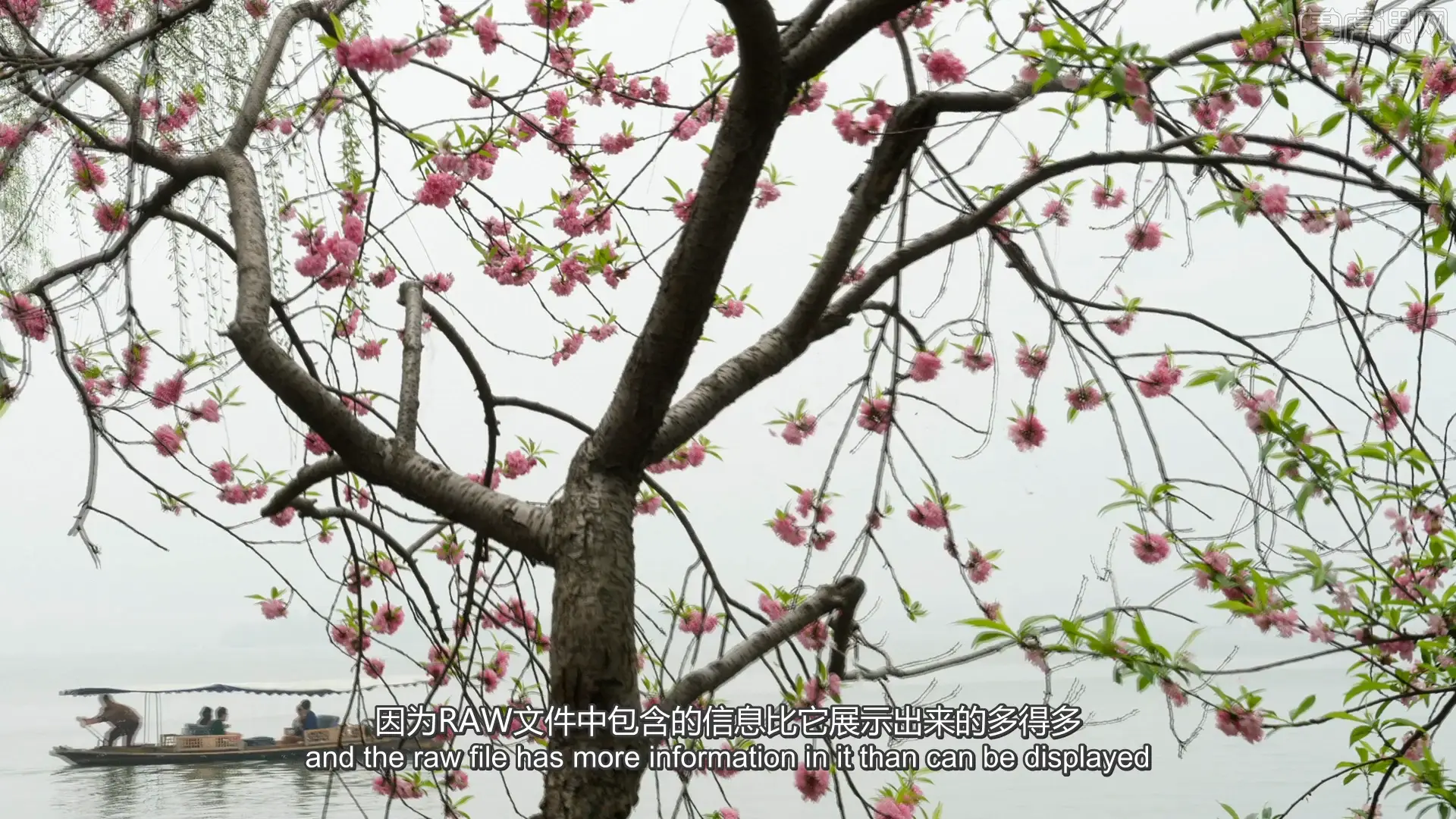 图片[30]-迈克尔·弗里曼如何成为一名专业摄影师52课完整版教程-中英字幕-美夕摄影