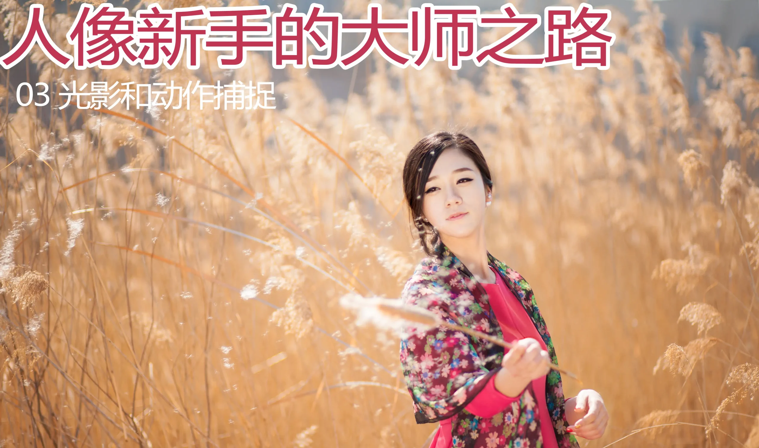 图片[3]-杨最醉-人像新手的大师之路9套完整教程-包含素材-美夕摄影