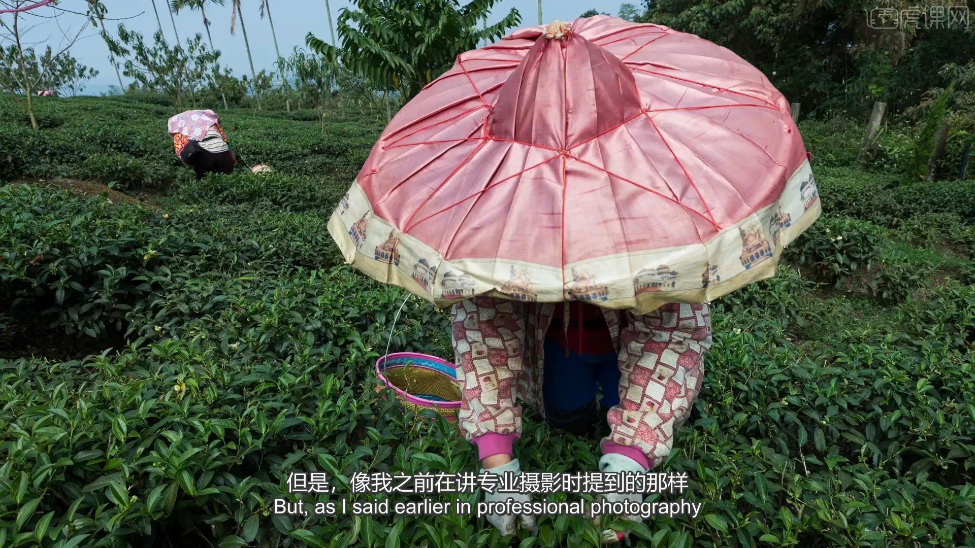 图片[8]-迈克尔·弗里曼如何成为一名专业摄影师52课完整版教程-中英字幕-美夕摄影