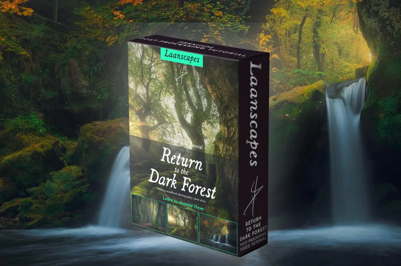 Daniel Laan-Dark Forest黑暗森林风光摄影后期修图3案例-中英字幕-美夕摄影