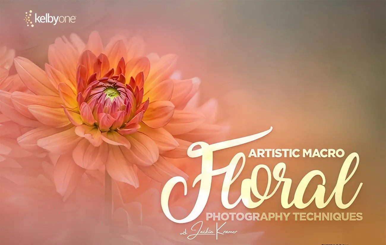 KelbyOne - Jackie Kramer掌握花卉微距艺术摄影教程-中文字幕-美夕摄影