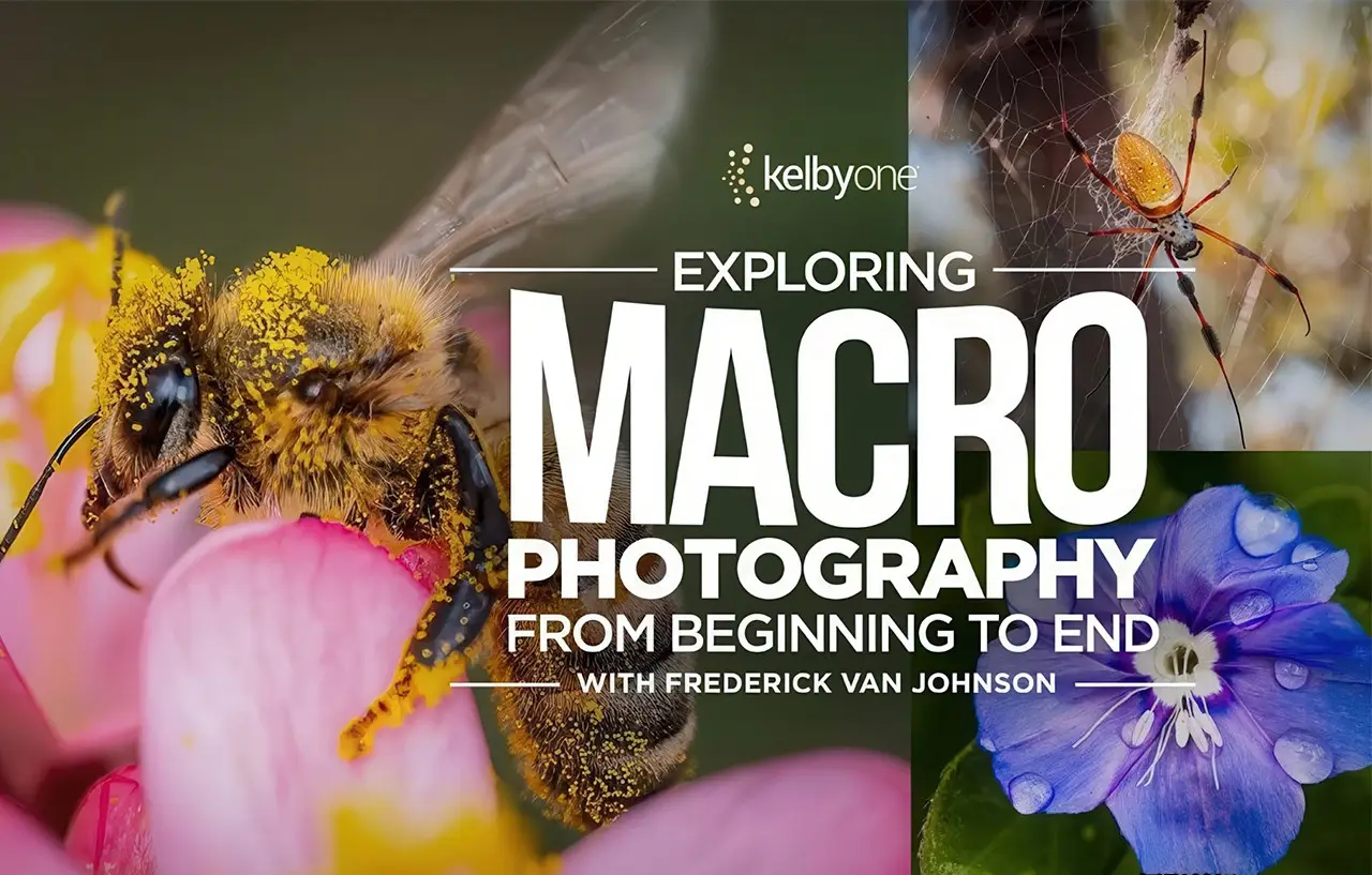 KelbyOne – 从头到尾探索植物微距摄影完整指南教程-中英字幕-美夕摄影