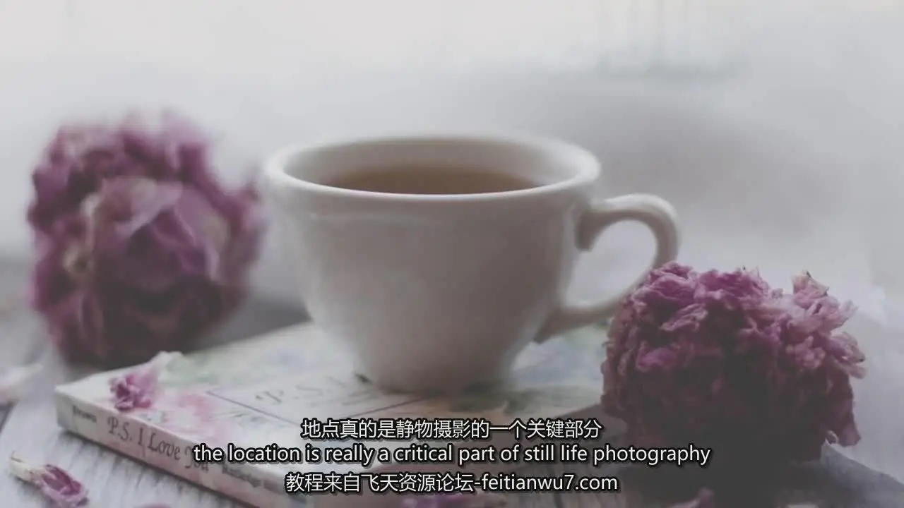 图片[2]-Carolyn Watson精美静物花卉产品摄影及后期完整教程-中英字幕-美夕摄影