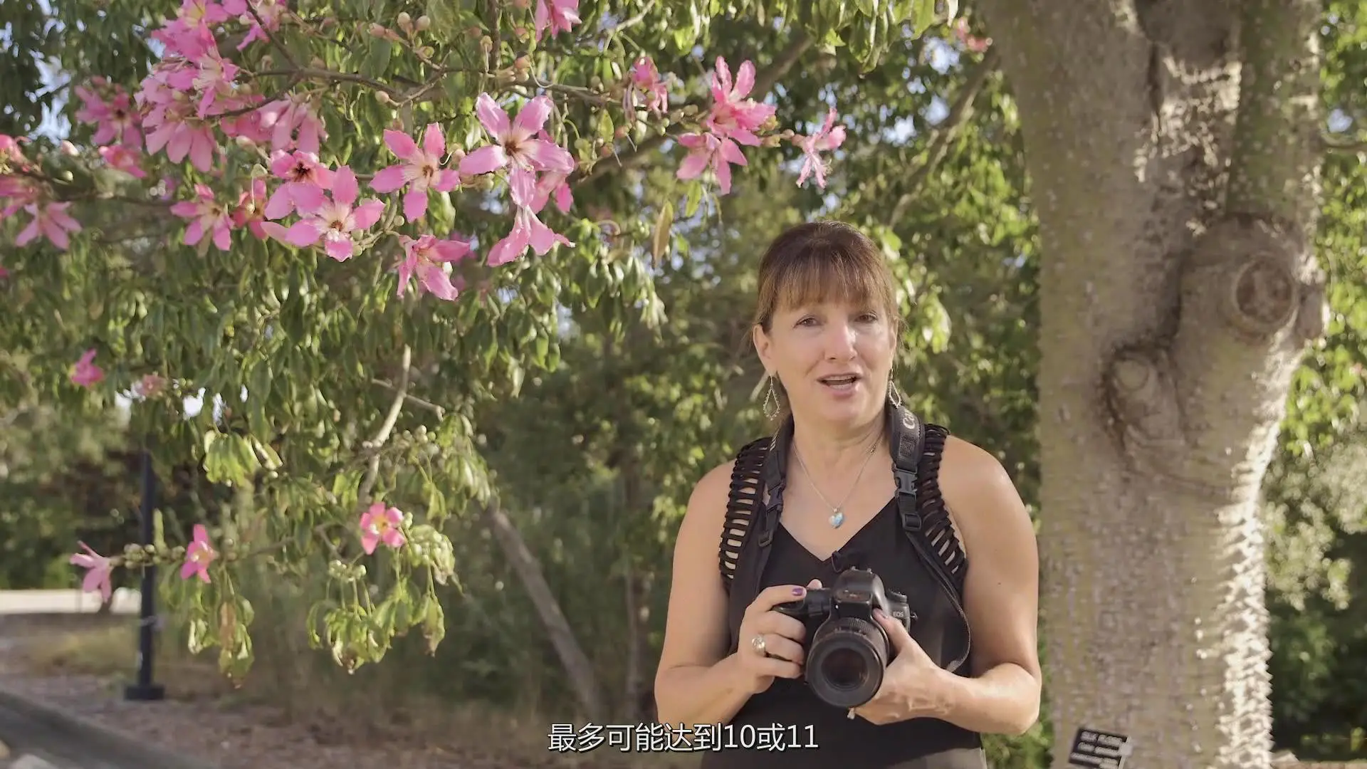 图片[2]-KelbyOne - Jackie Kramer掌握花卉微距艺术摄影教程-中文字幕