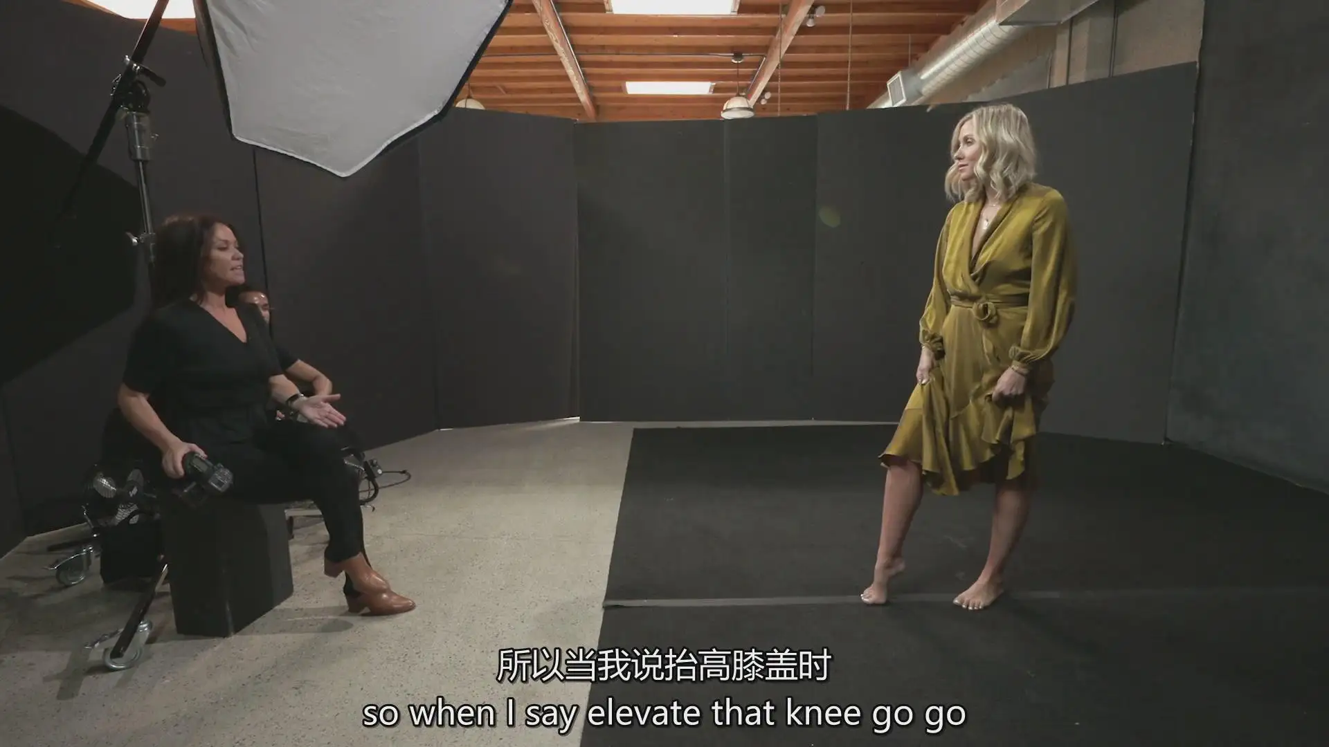 图片[2]-The Portrait Masters-人像摄影系统教程12个月创业计划-中英字幕-美夕摄影