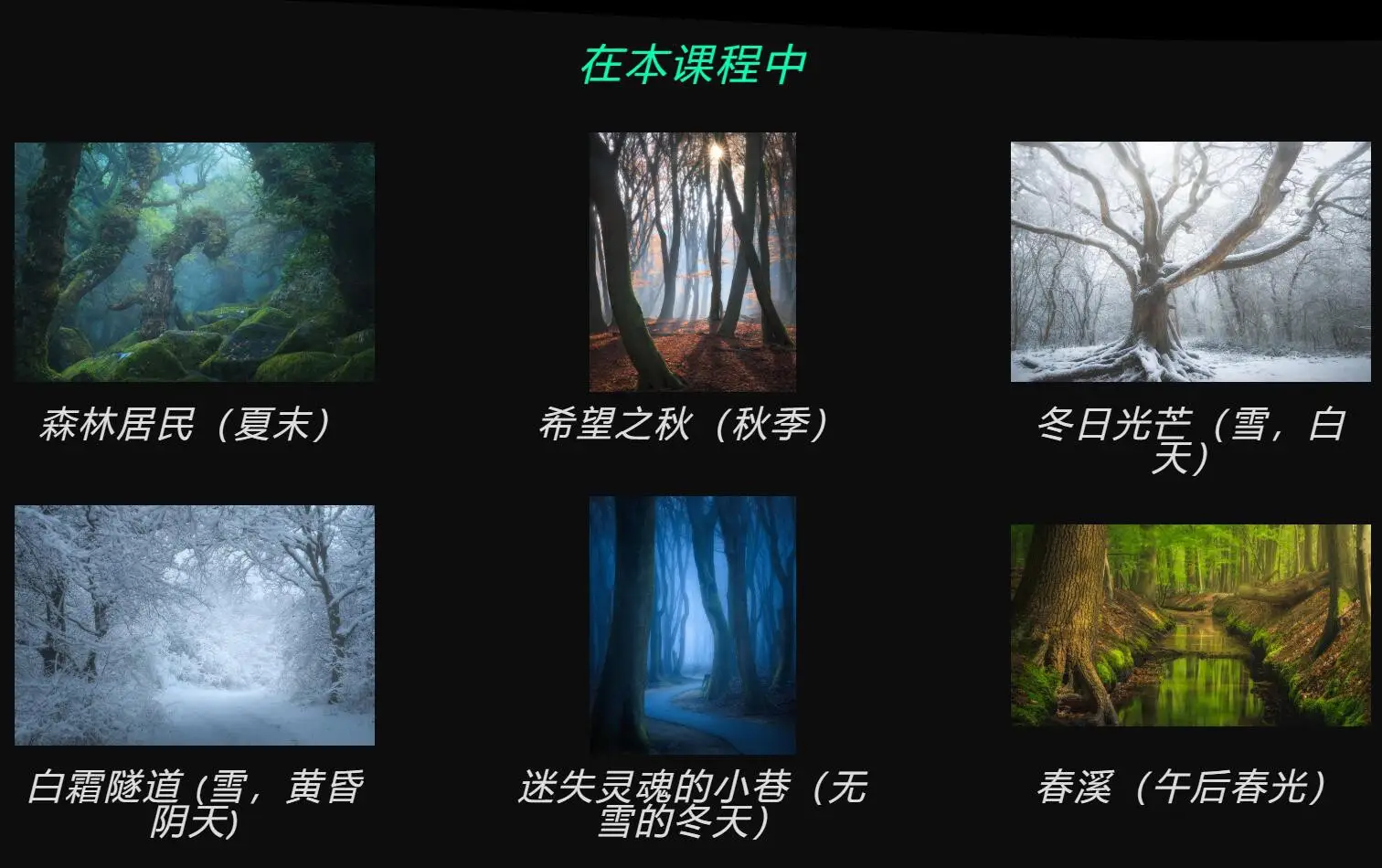 图片[2]-Daniel Laan 《黑暗森林中的四季》风光摄影后期修图教程-中英字幕