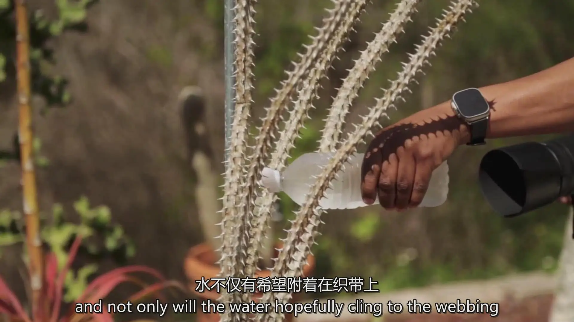 图片[3]-KelbyOne – 从头到尾探索植物微距摄影完整指南教程-中英字幕