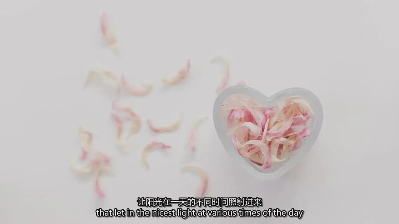图片[4]-Carolyn Watson精美静物花卉产品摄影及后期完整教程-中英字幕-美夕摄影