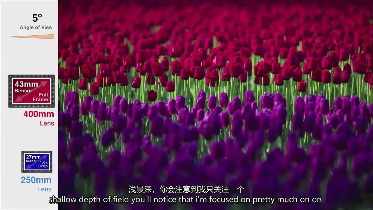 图片[4]-John Greengo 如何选择合适的佳能镜头完整指南-中英字幕-美夕摄影