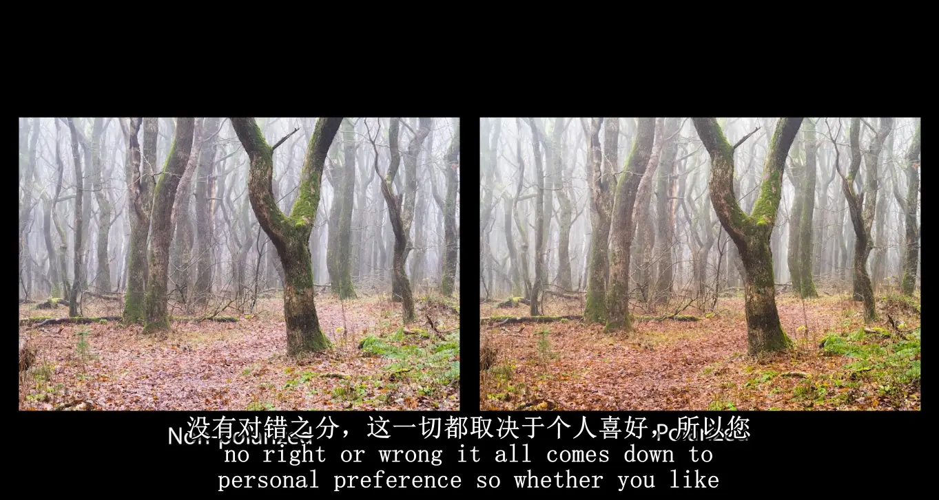 图片[4]-Mads Peter Iversen-林地森林风光摄影构图及后期修图教程-中英字幕