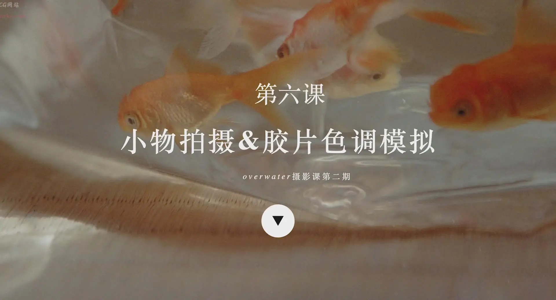 图片[6]-Overwater的摄影课第二期日系胶片唯美人像摄影及后期教程-美夕摄影