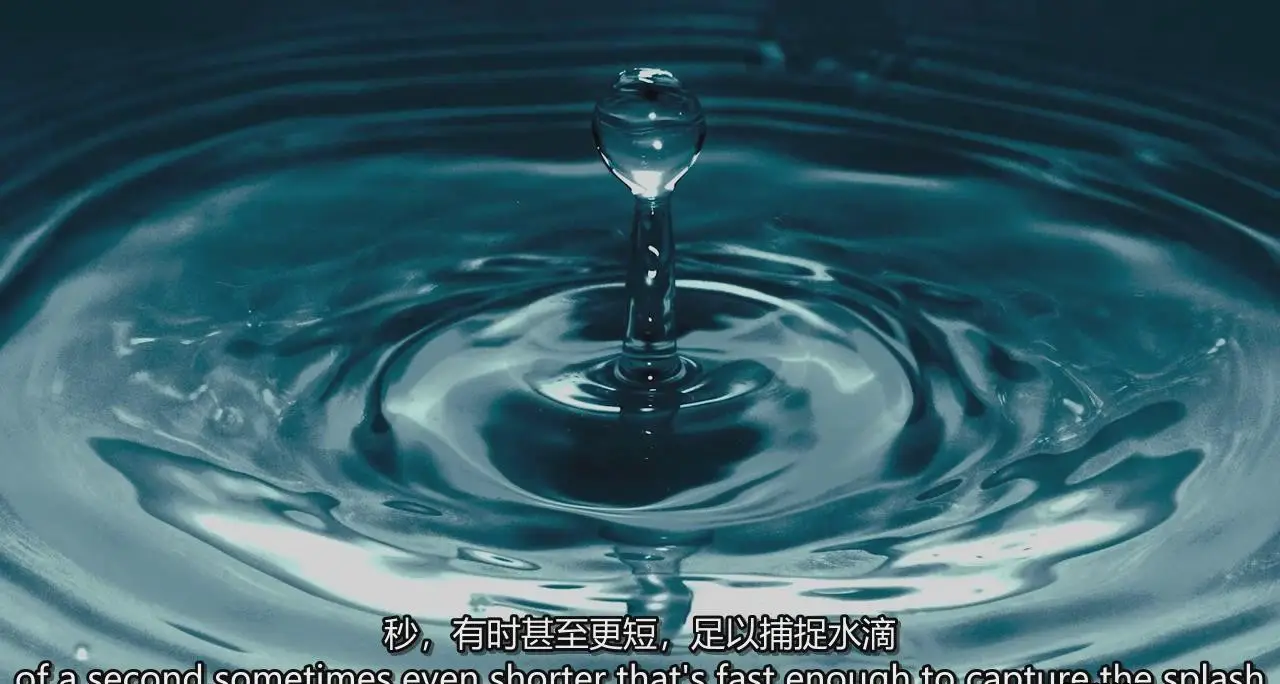 图片[5]-掌握特写和昆虫微距摄影以及焦点堆叠后期完整指南教程-中英字幕-美夕摄影
