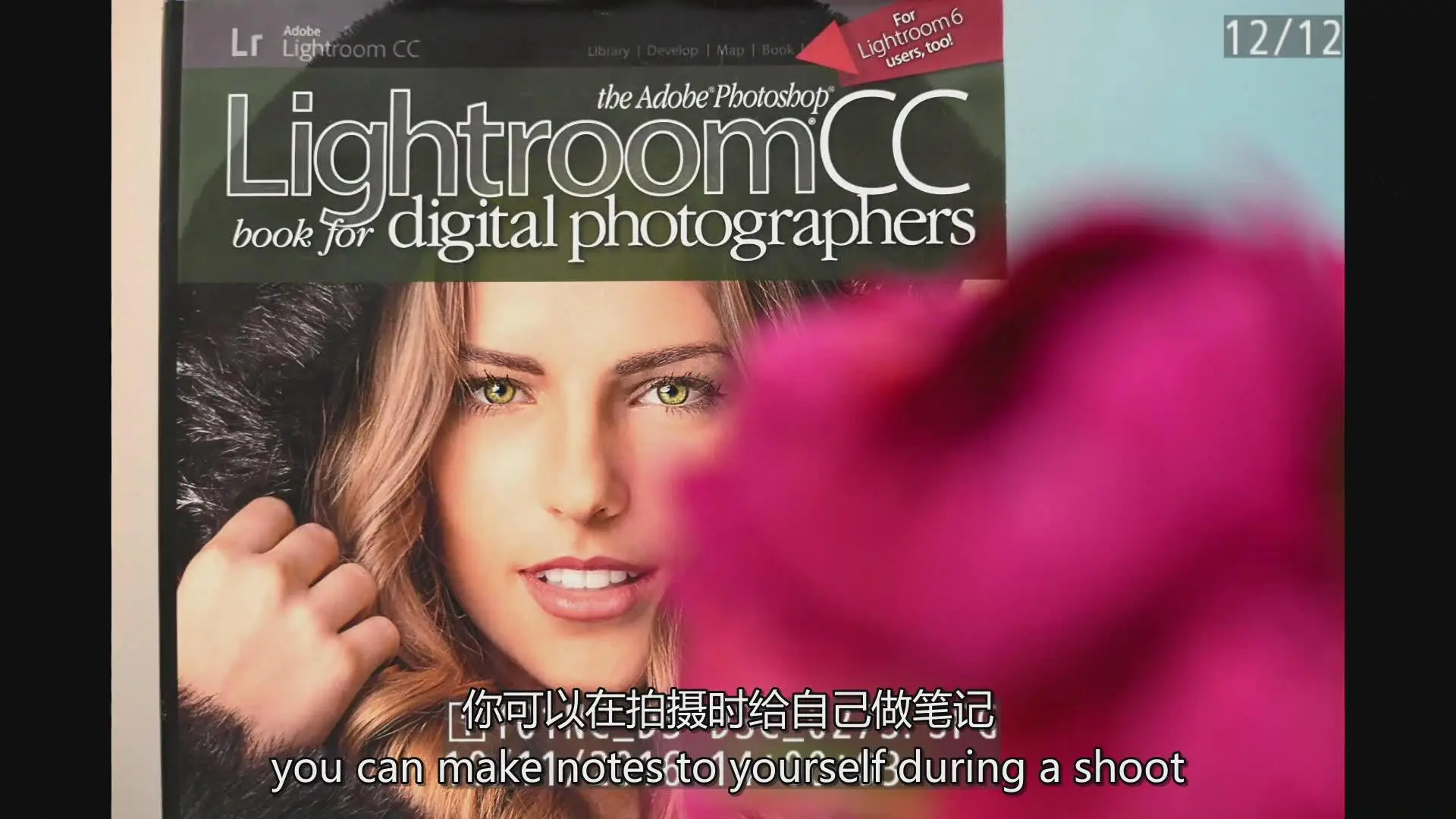 图片[5]-kelbyone–Larry Becker充分掌握尼康D5相机必备教程-中英字幕