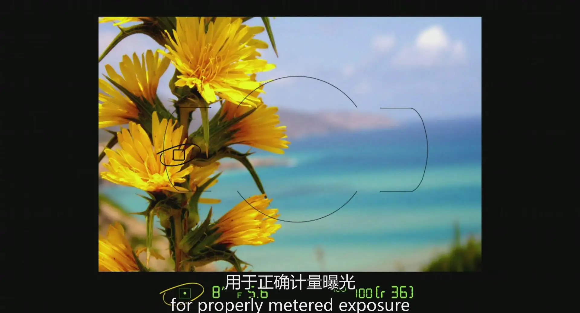 图片[5]-kelbyone–Larry Becker充分掌握尼康D800指南教程-中英字幕