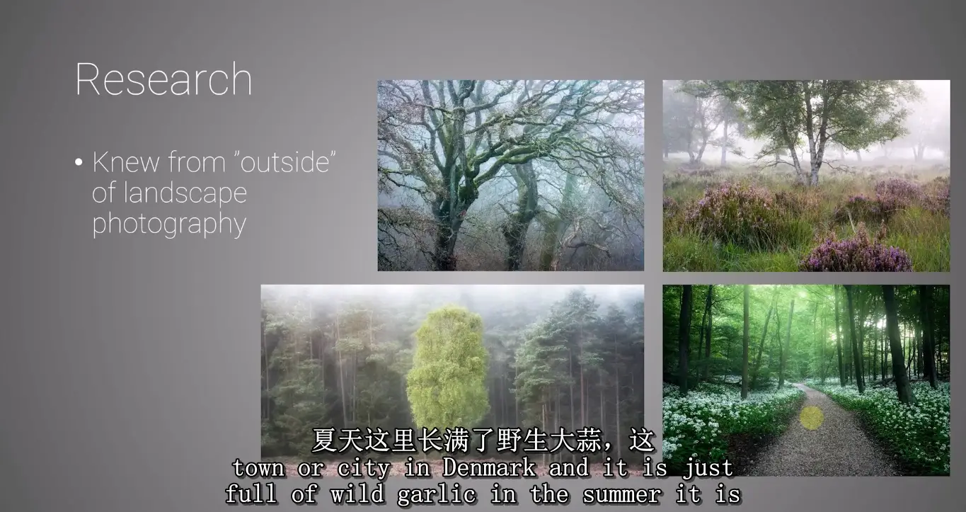 图片[5]-Mads Peter Iversen-林地森林风光摄影构图及后期修图教程-中英字幕
