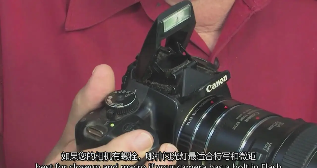图片[6]-掌握特写和昆虫微距摄影以及焦点堆叠后期完整指南教程-中英字幕-美夕摄影