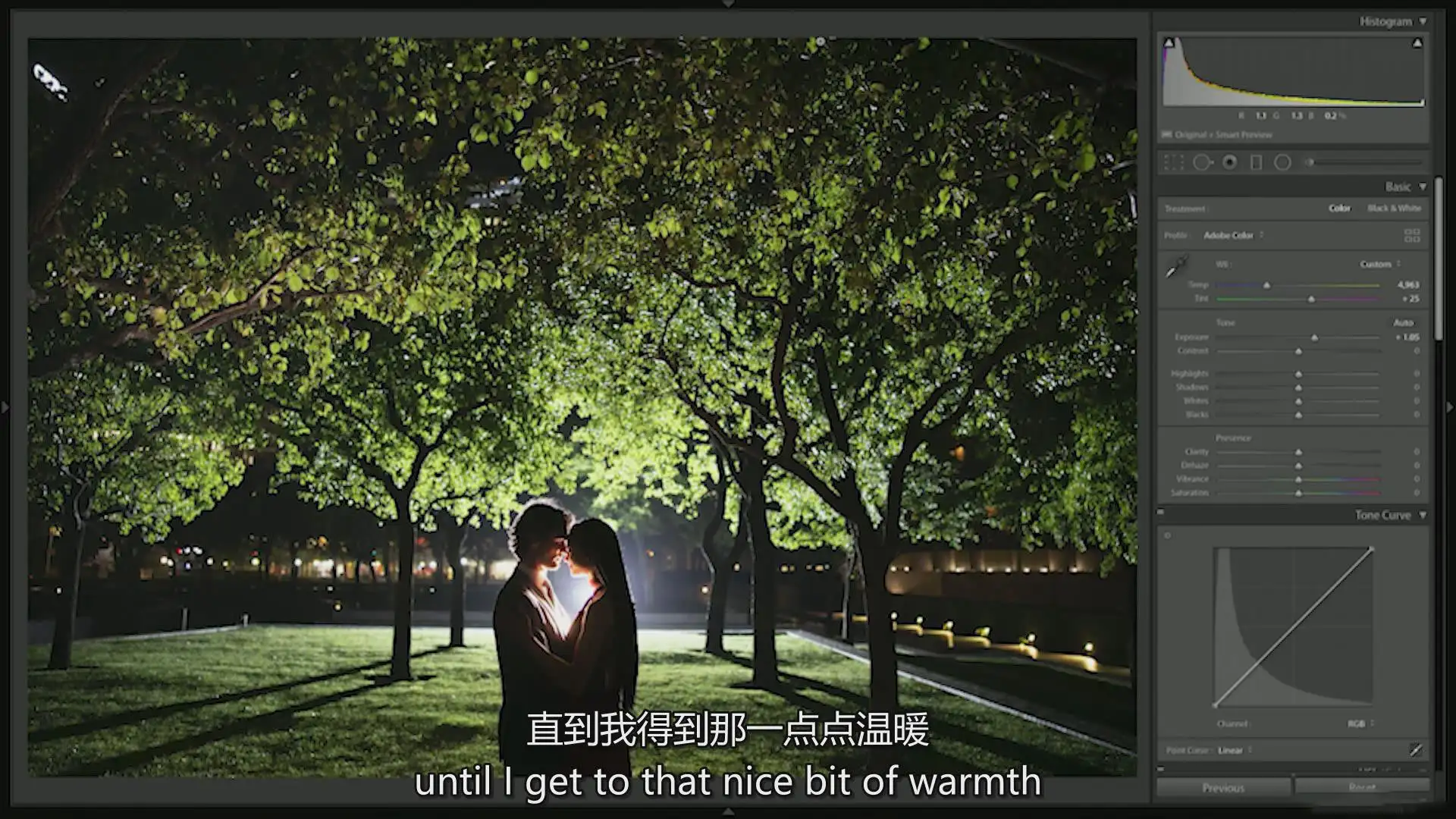 图片[6]-SLR Lounge-闪光灯外景现场布光精通完整教程独家中英字幕Lighting 3 -美夕摄影
