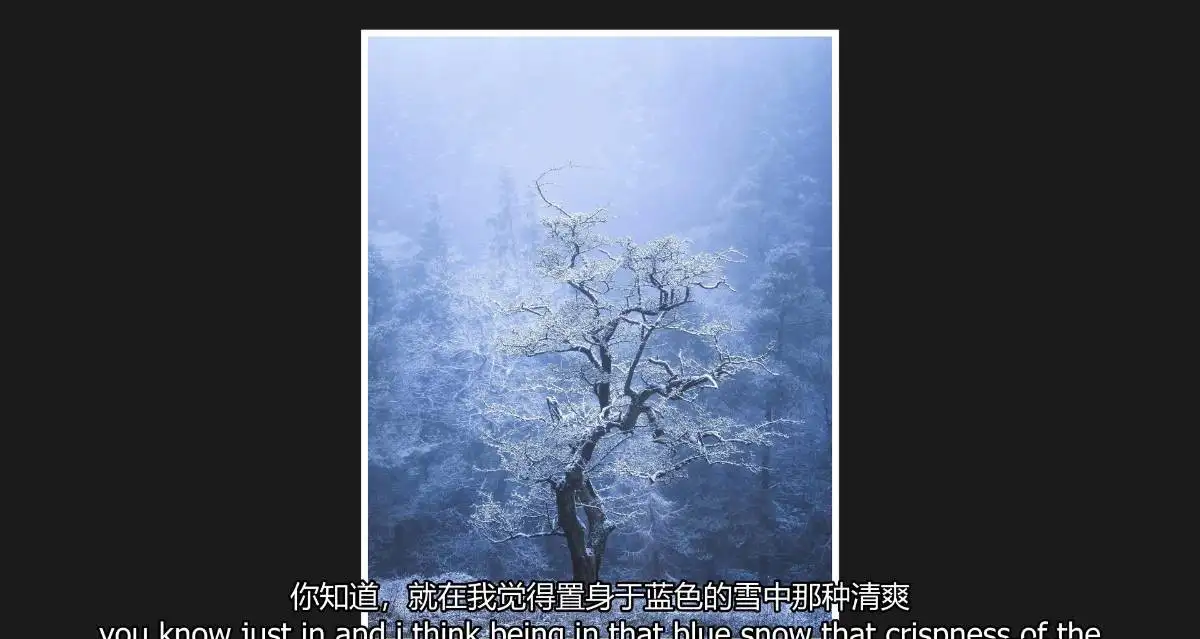 摄影师Nigel Danson掌握远景林地海景风光摄影完整第二季-中英字幕-美夕摄影