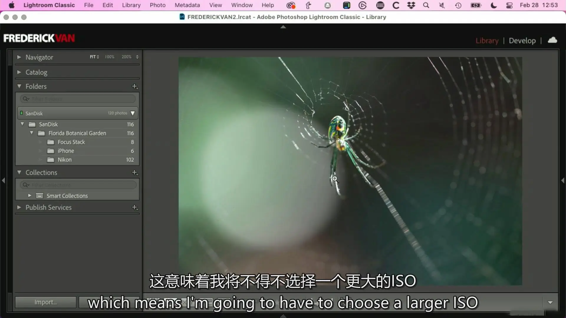 图片[6]-KelbyOne – 从头到尾探索植物微距摄影完整指南教程-中英字幕