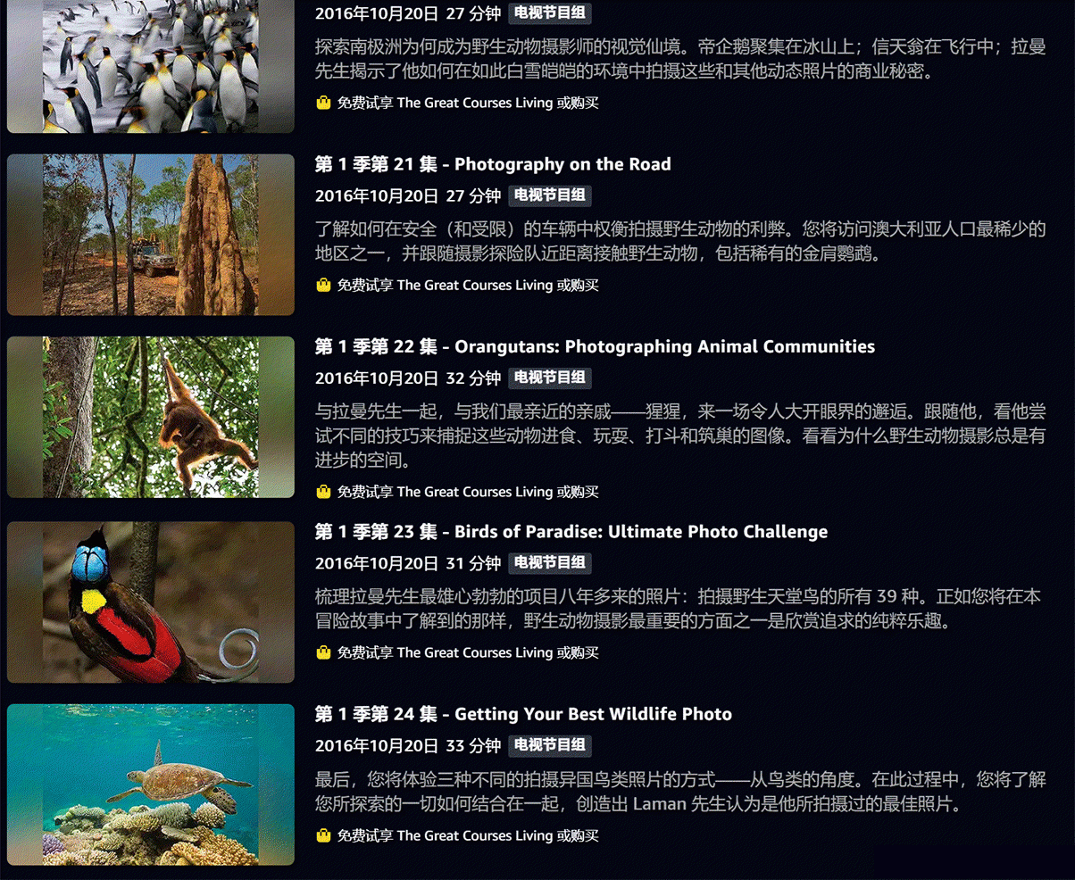 图片[6]-Michael Melford-国家地理风光野生动物摄影完整教程-中英字幕-美夕摄影