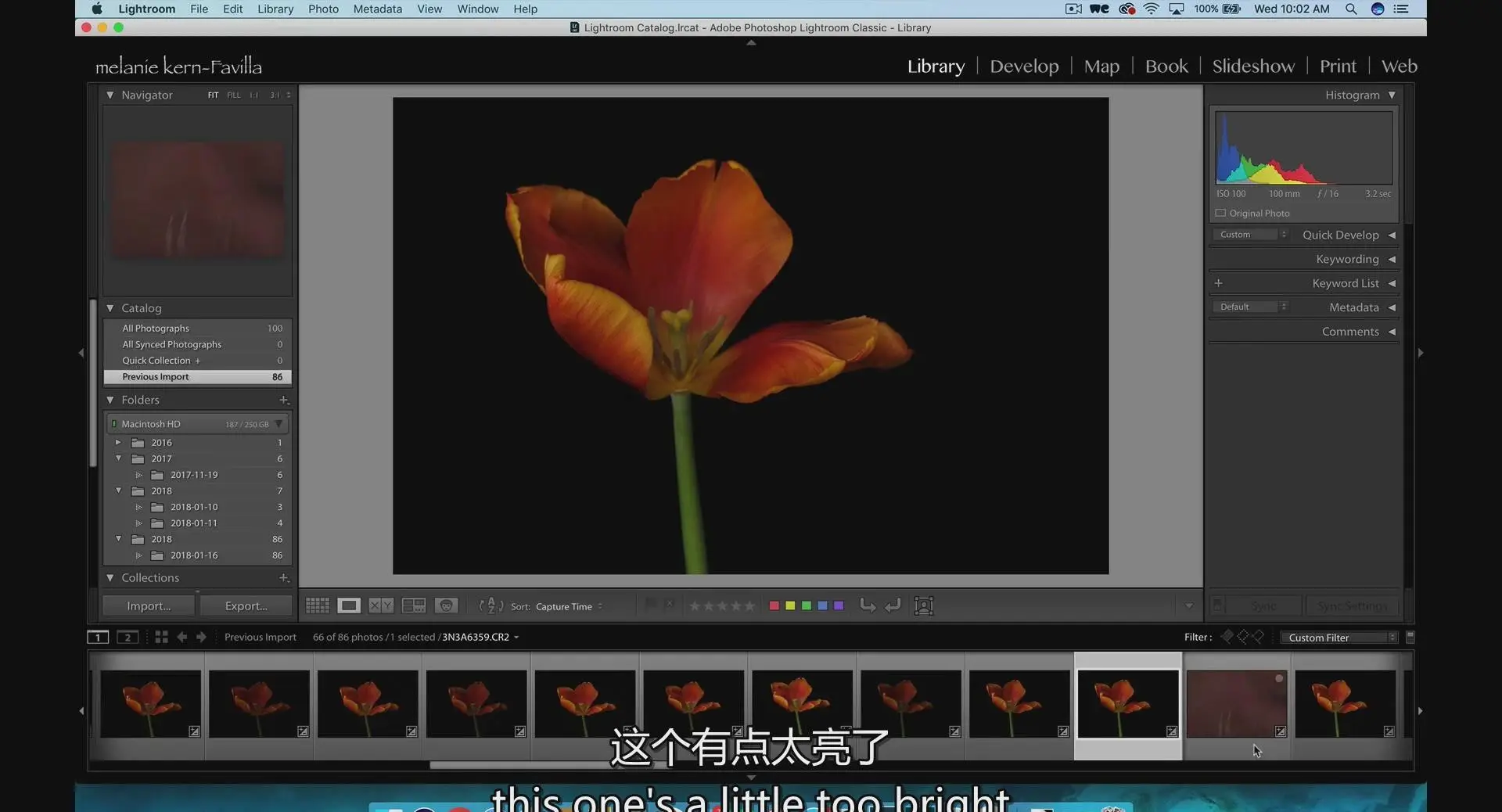 图片[6]-KelbyOne-令人惊叹的花卉植物图像摄影完整指南教程-中英字幕