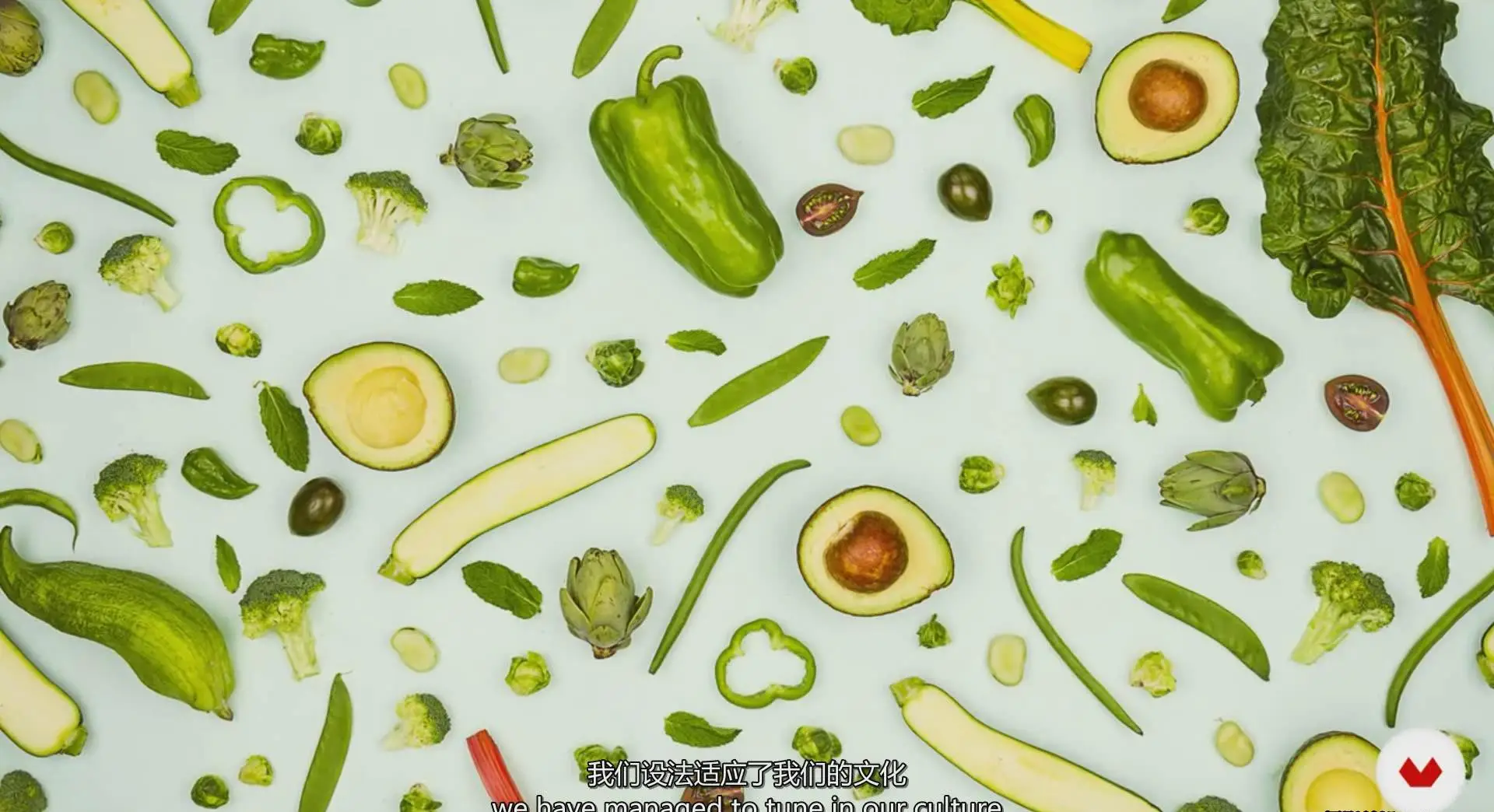 图片[7]-Espacio Crudo 商业美食食品摄影布光及造型课程完整版-中文字幕-美夕摄影