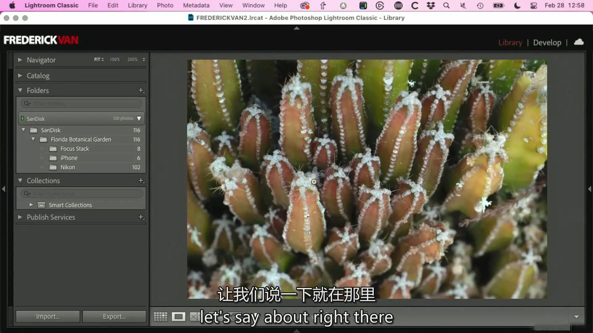 图片[7]-KelbyOne – 从头到尾探索植物微距摄影完整指南教程-中英字幕