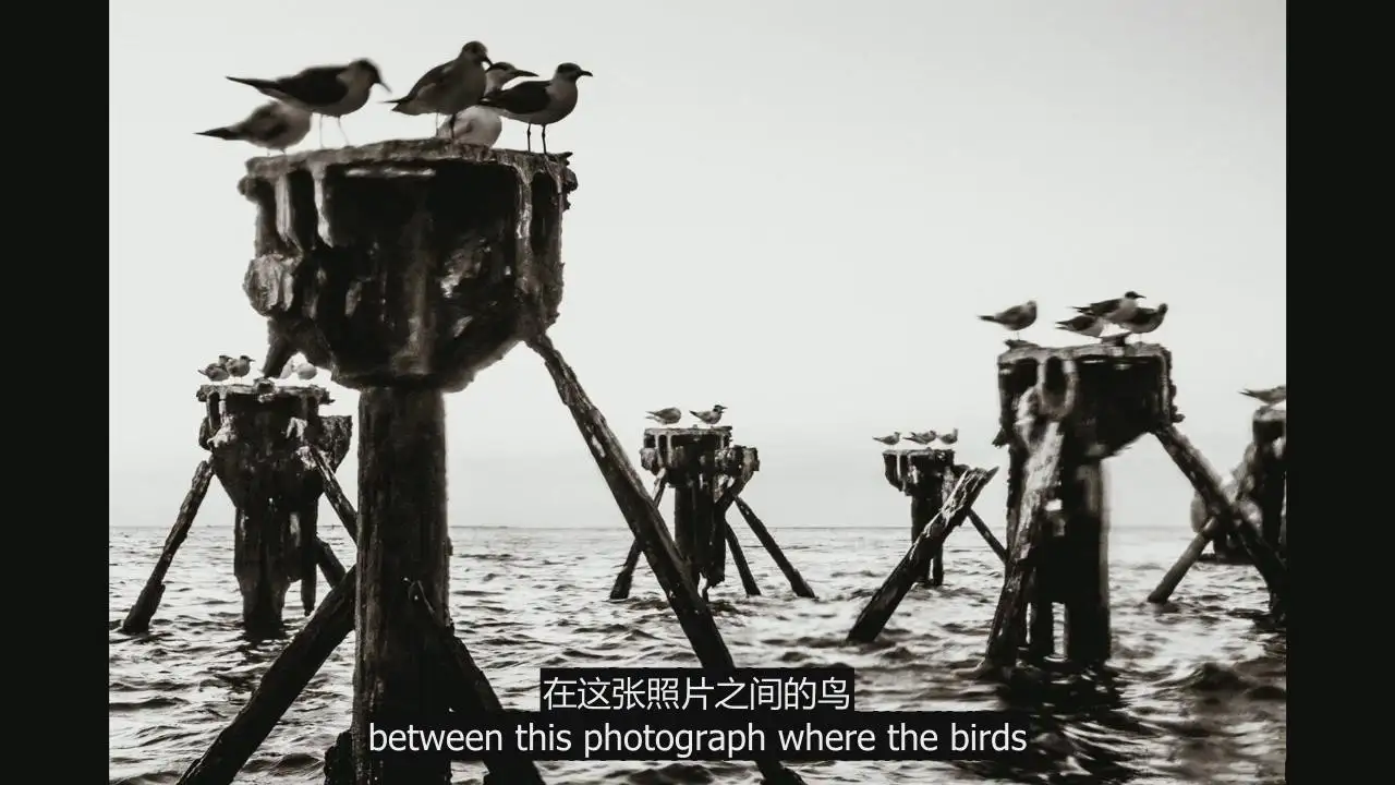 图片[7]-Jared Platt - Android和iPhone 智能手机摄影完整指南教程-中英字幕-美夕摄影