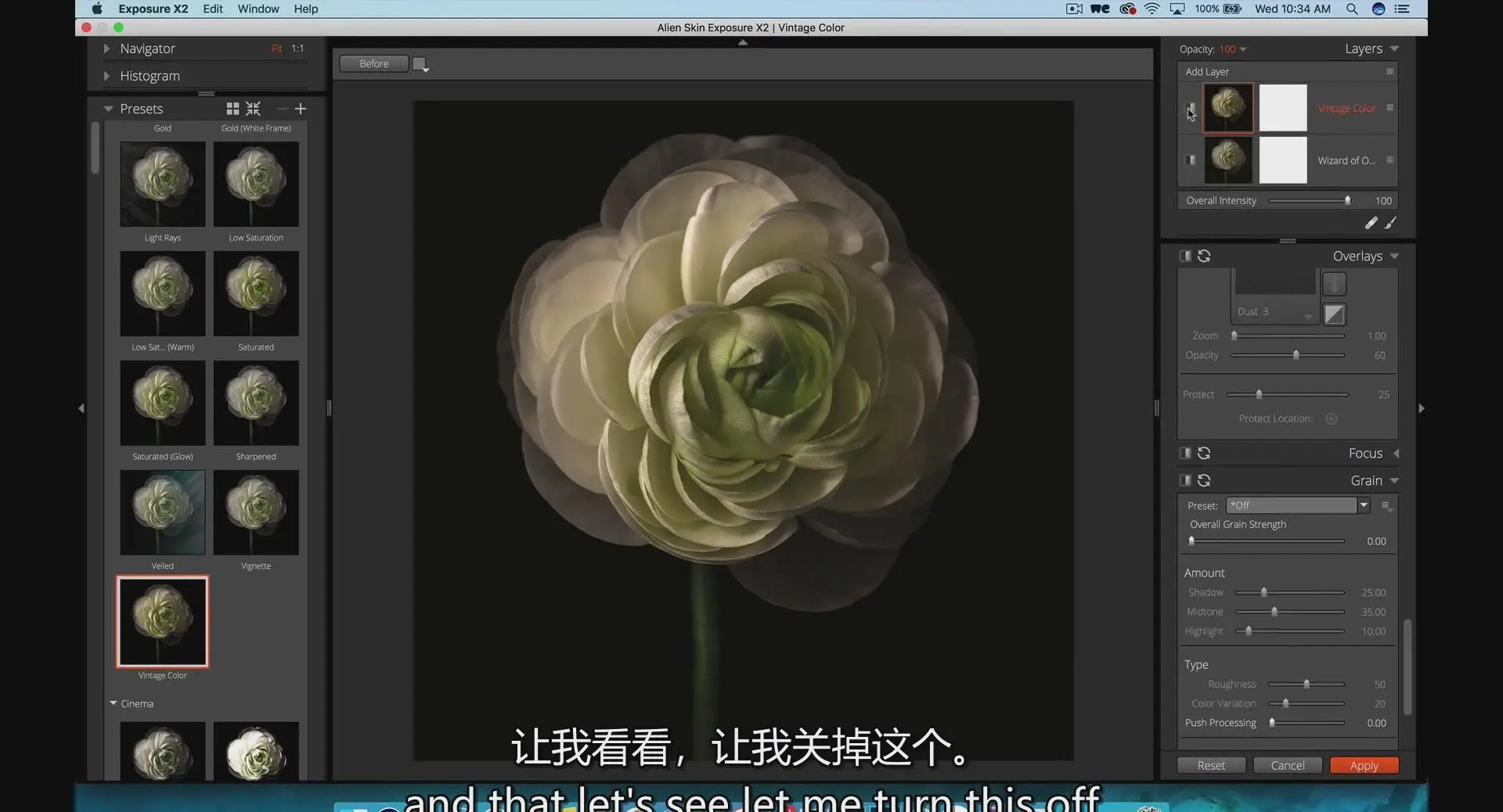 图片[7]-KelbyOne-令人惊叹的花卉植物图像摄影完整指南教程-中英字幕