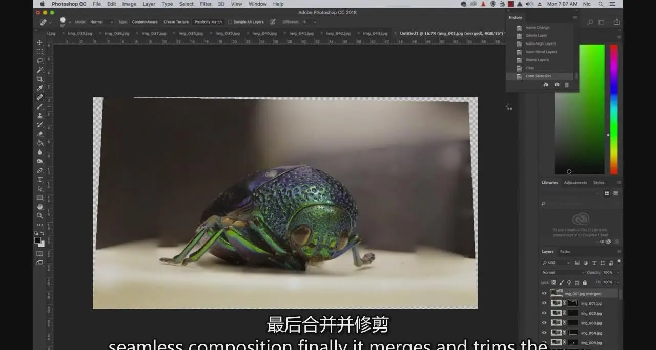 图片[8]-掌握特写和昆虫微距摄影以及焦点堆叠后期完整指南教程-中英字幕-美夕摄影