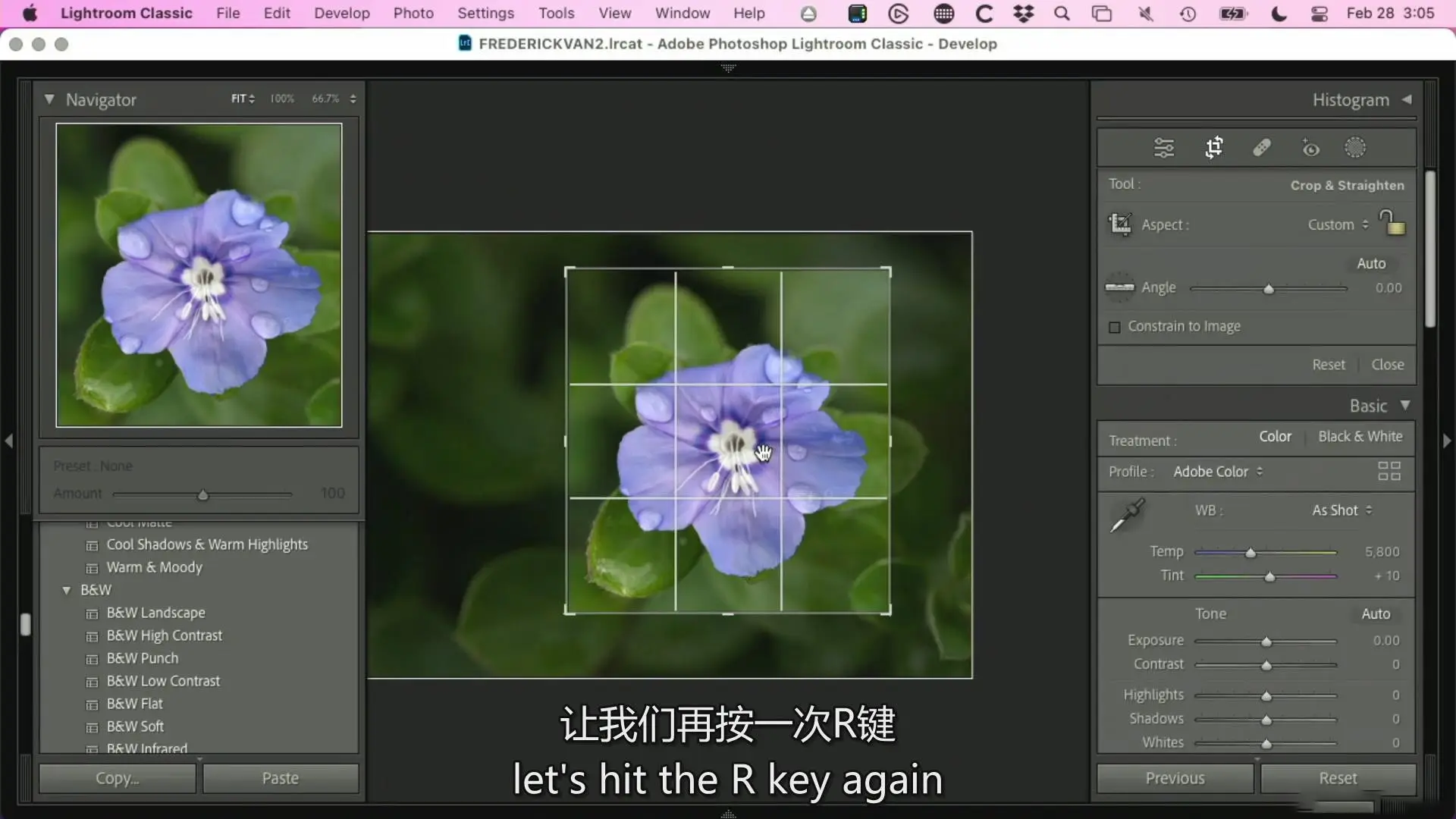 图片[8]-KelbyOne – 从头到尾探索植物微距摄影完整指南教程-中英字幕
