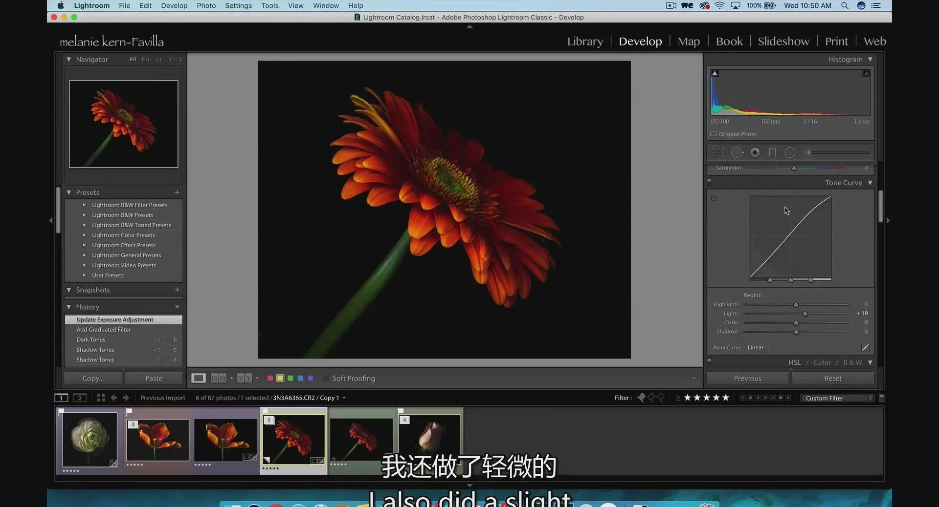 图片[8]-KelbyOne-令人惊叹的花卉植物图像摄影完整指南教程-中英字幕