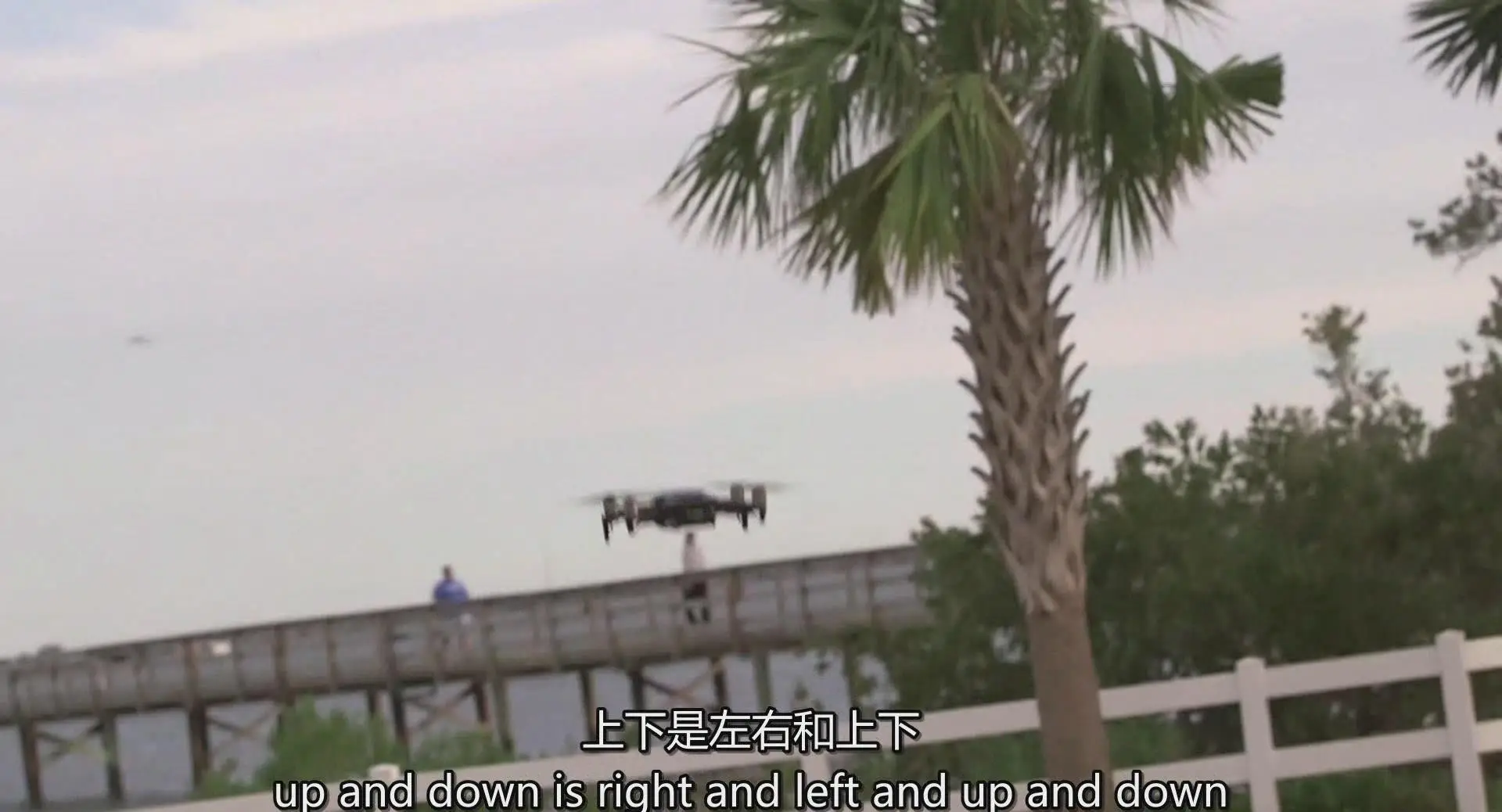 图片[8]-KelbyOne - 使用DJI Mavic Air拍摄精彩的照片和视频-中英字幕