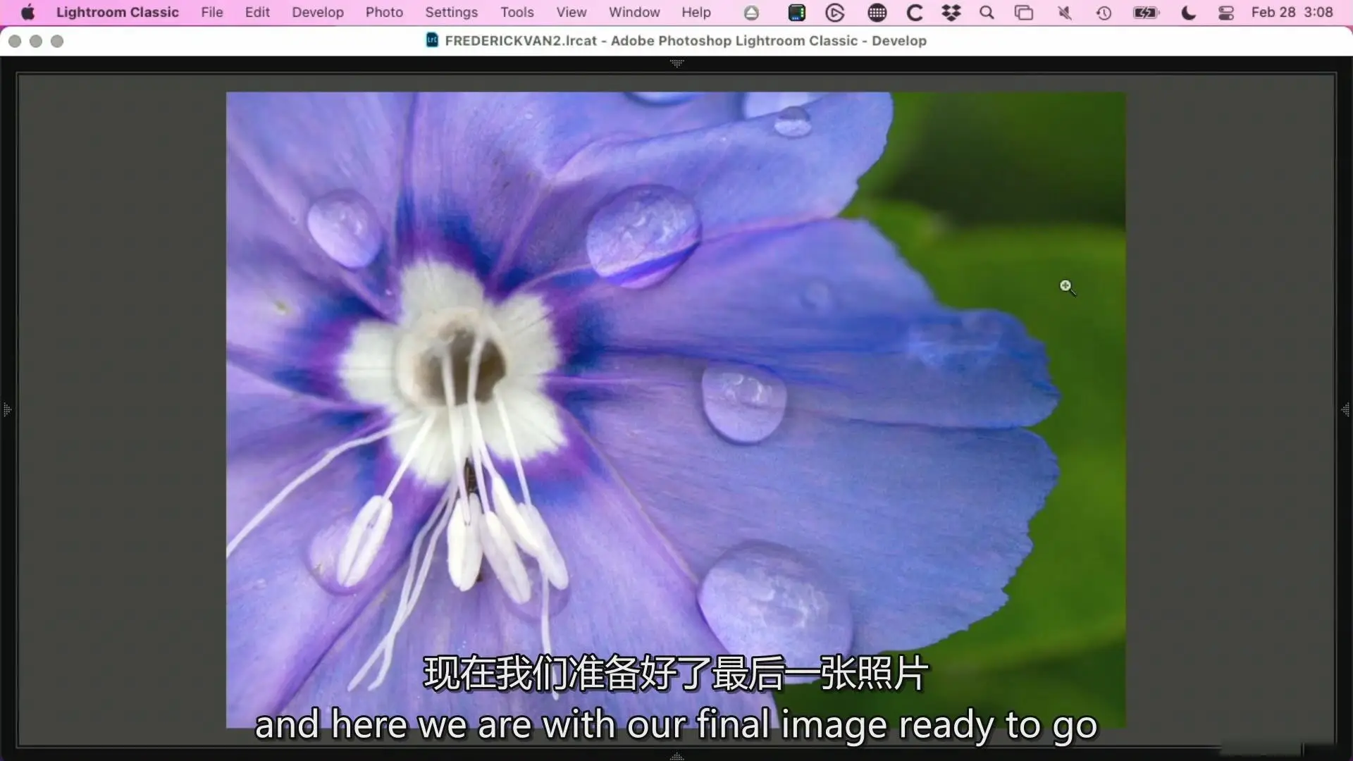 图片[9]-KelbyOne – 从头到尾探索植物微距摄影完整指南教程-中英字幕