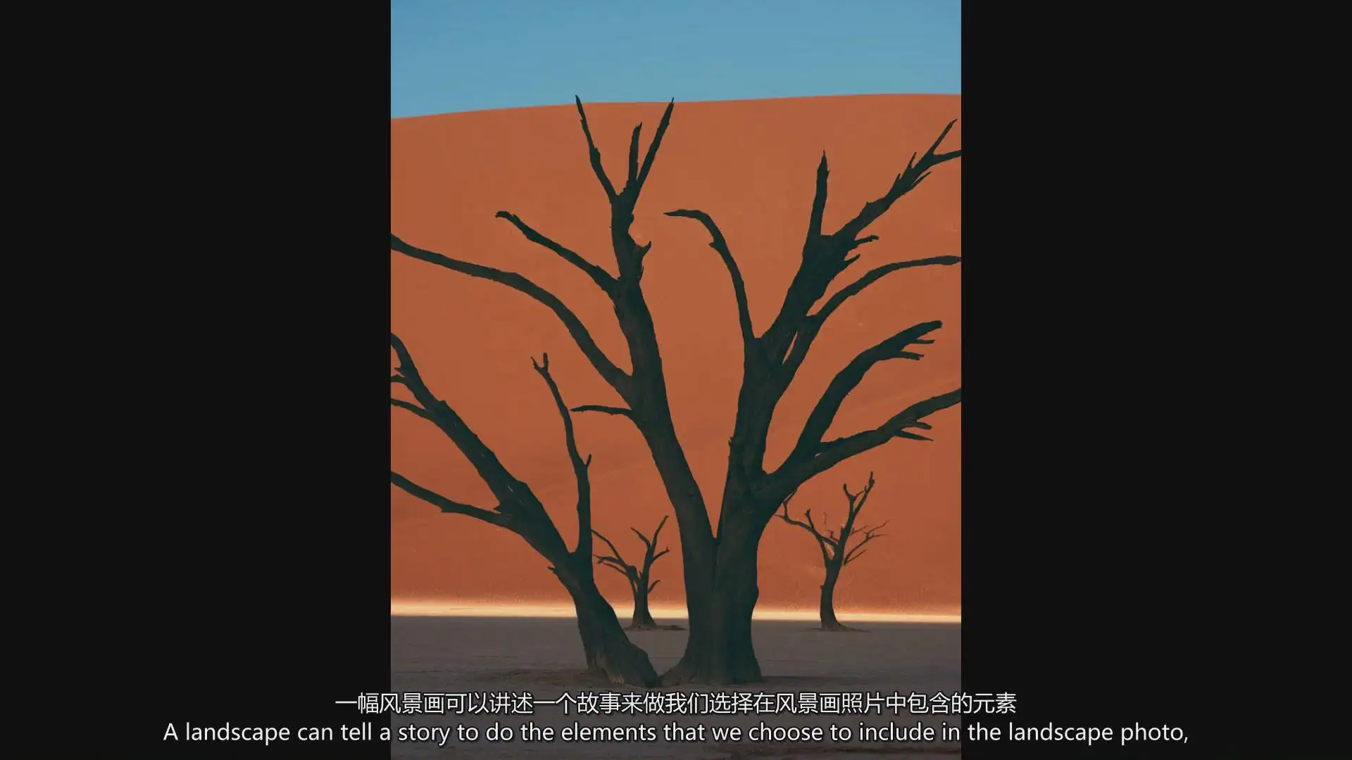 图片[9]-摄影师August Dering掌握摄影构图高质量图像构成完整教程-中英字幕-美夕摄影