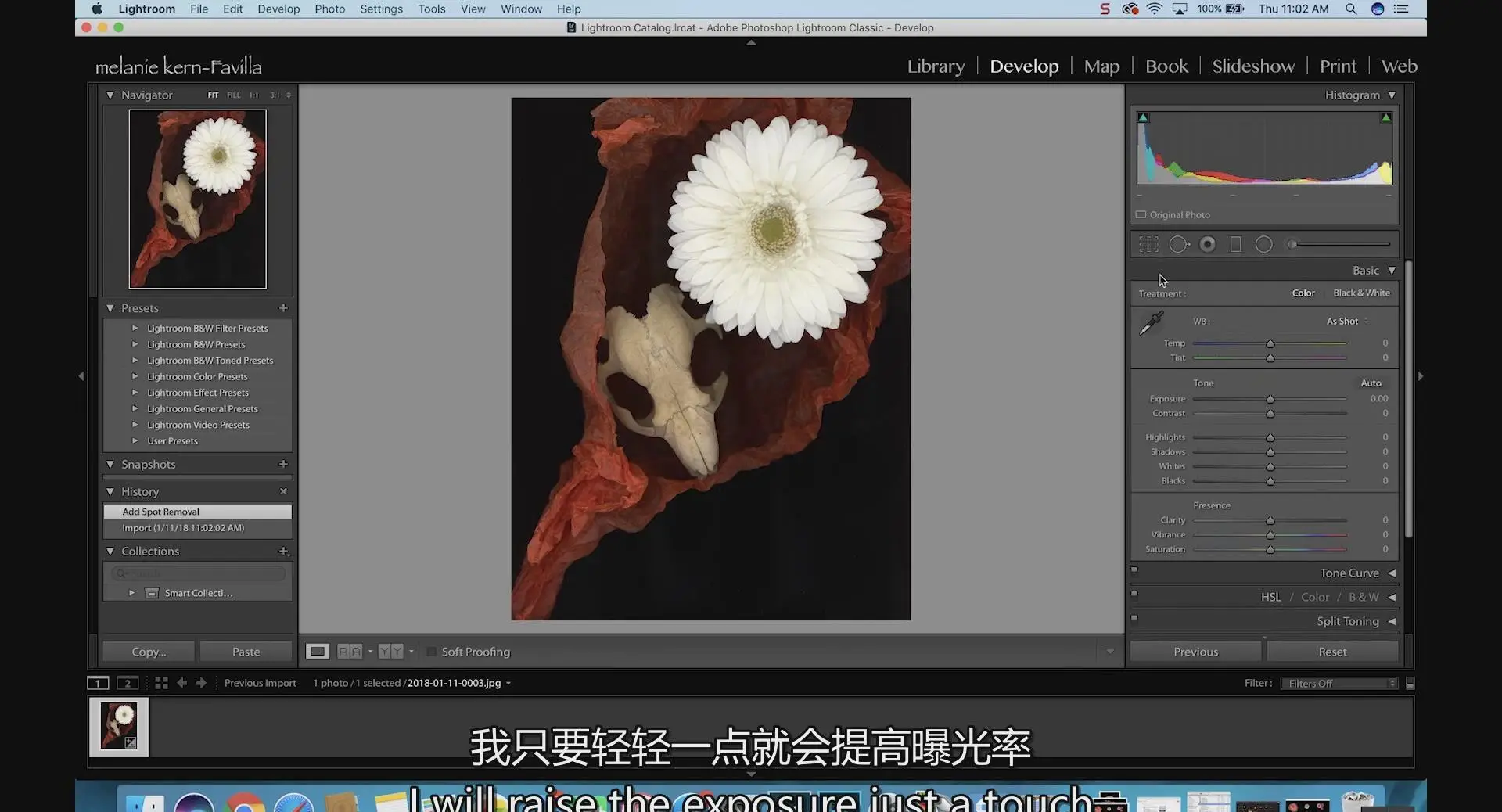 图片[9]-KelbyOne-令人惊叹的花卉植物图像摄影完整指南教程-中英字幕