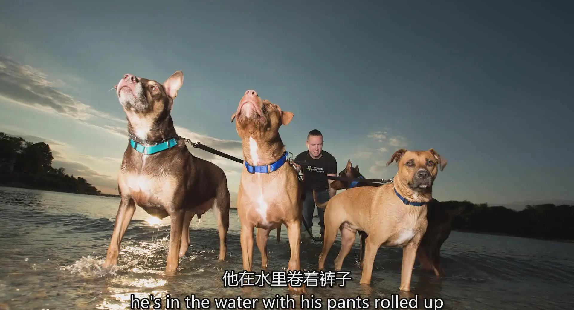 图片[9]-KelbyOne – Kaylee Greer宠物狗创意摄影完整指南教程-中英字幕