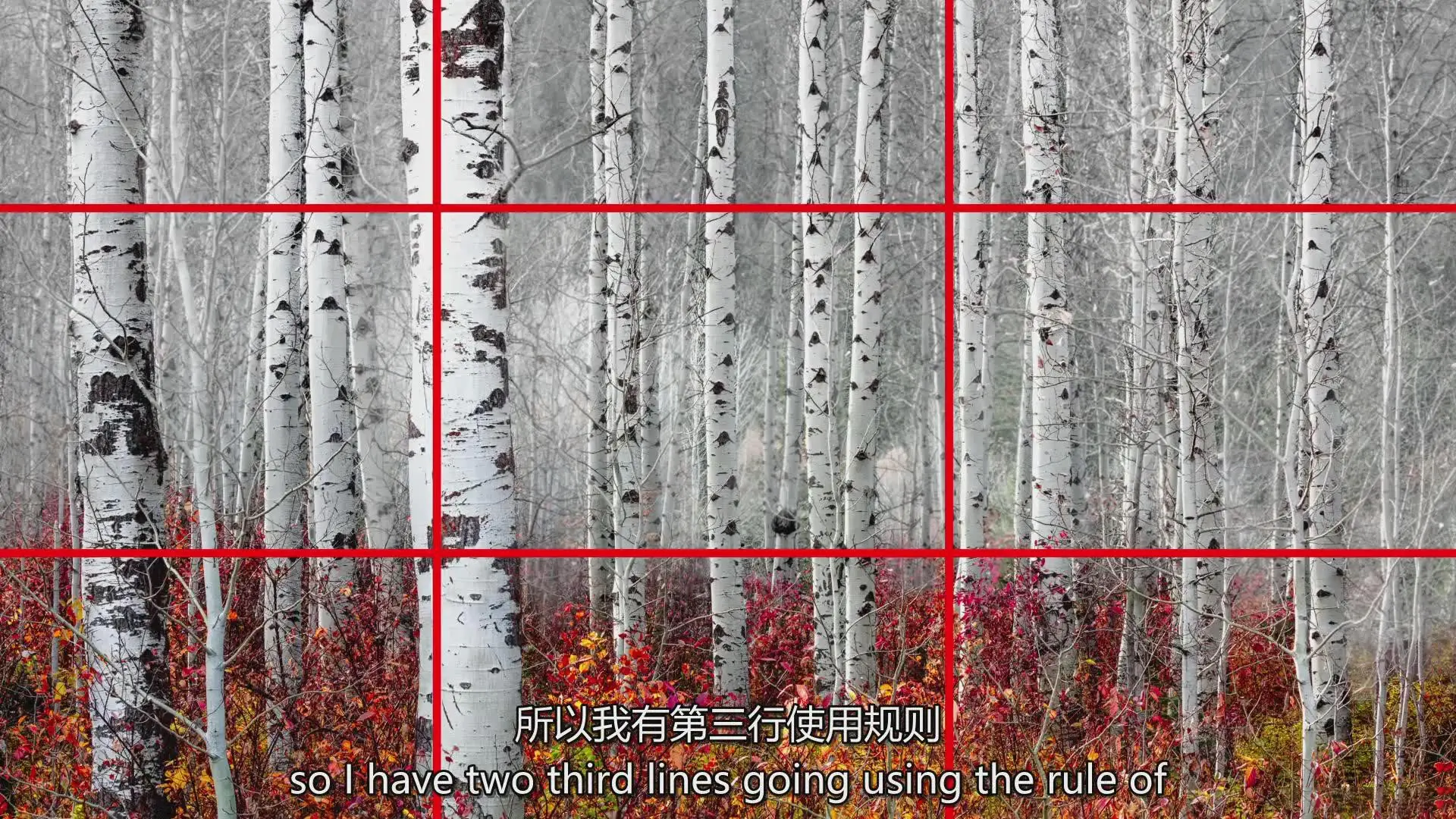 图片[9]-风光摄影师Tim Shields在风光摄影中完美构图的秘密教程-中英字幕