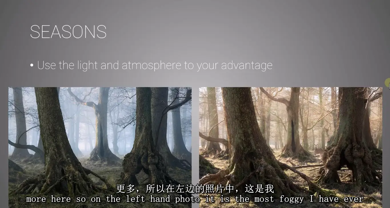 图片[10]-Mads Peter Iversen-林地森林风光摄影构图及后期修图教程-中英字幕