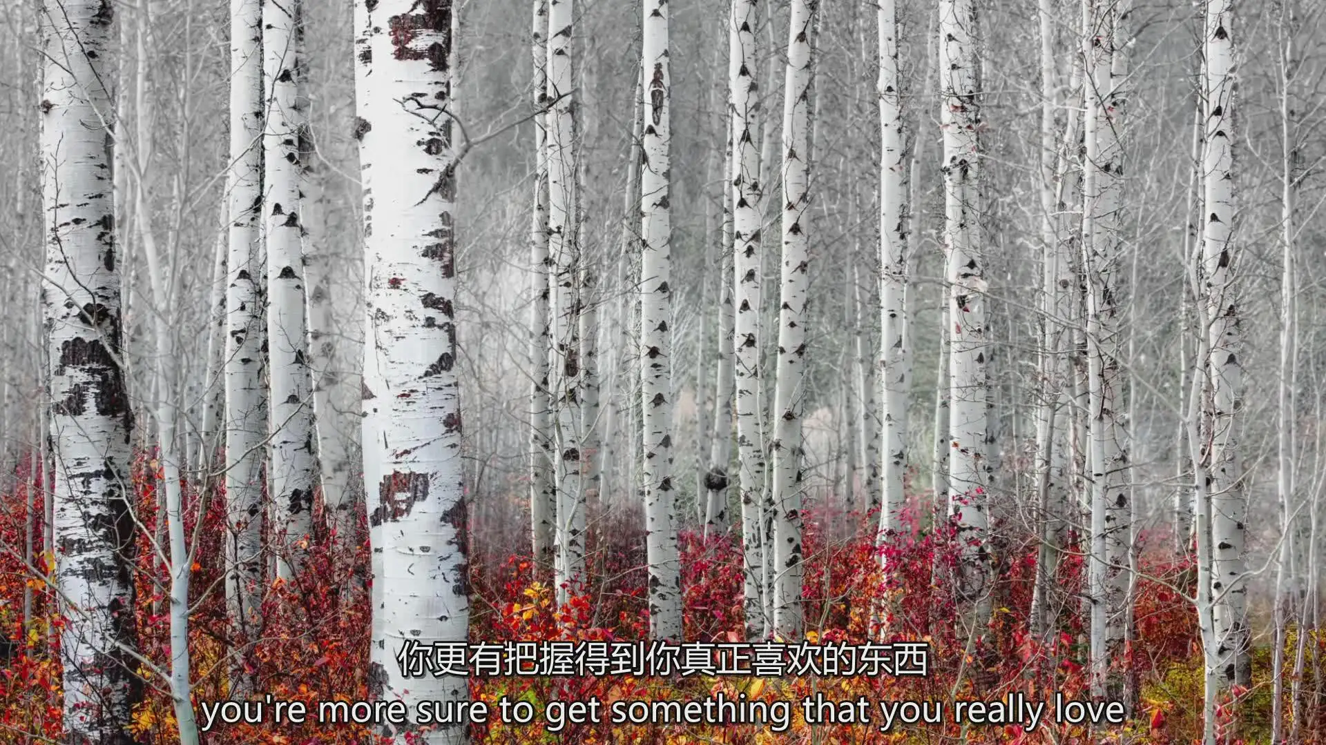 图片[11]-风光摄影师Tim Shields在风光摄影中完美构图的秘密教程-中英字幕