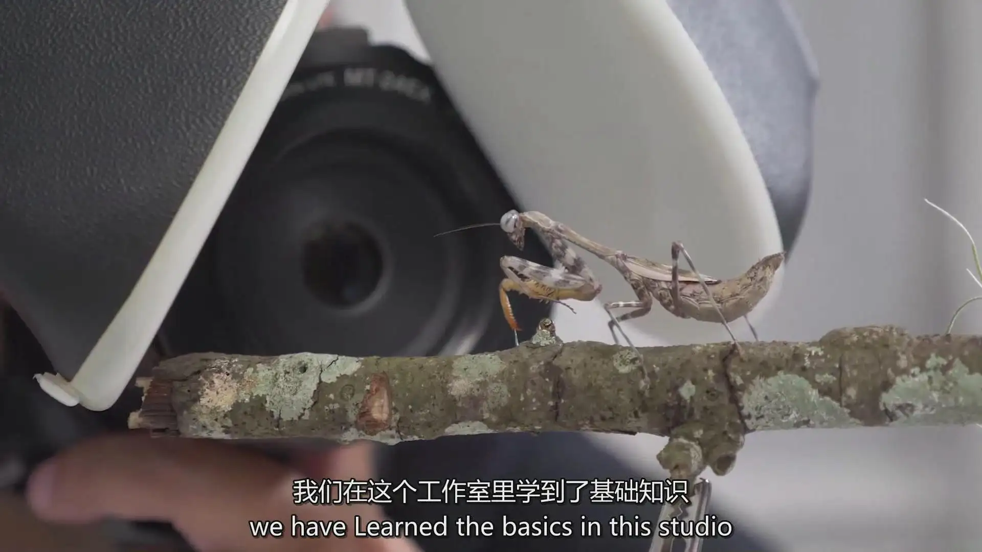 图片[9]-Fstoppers-Andres Moline掌握微距摄影拍摄教程-独家精翻中英字幕