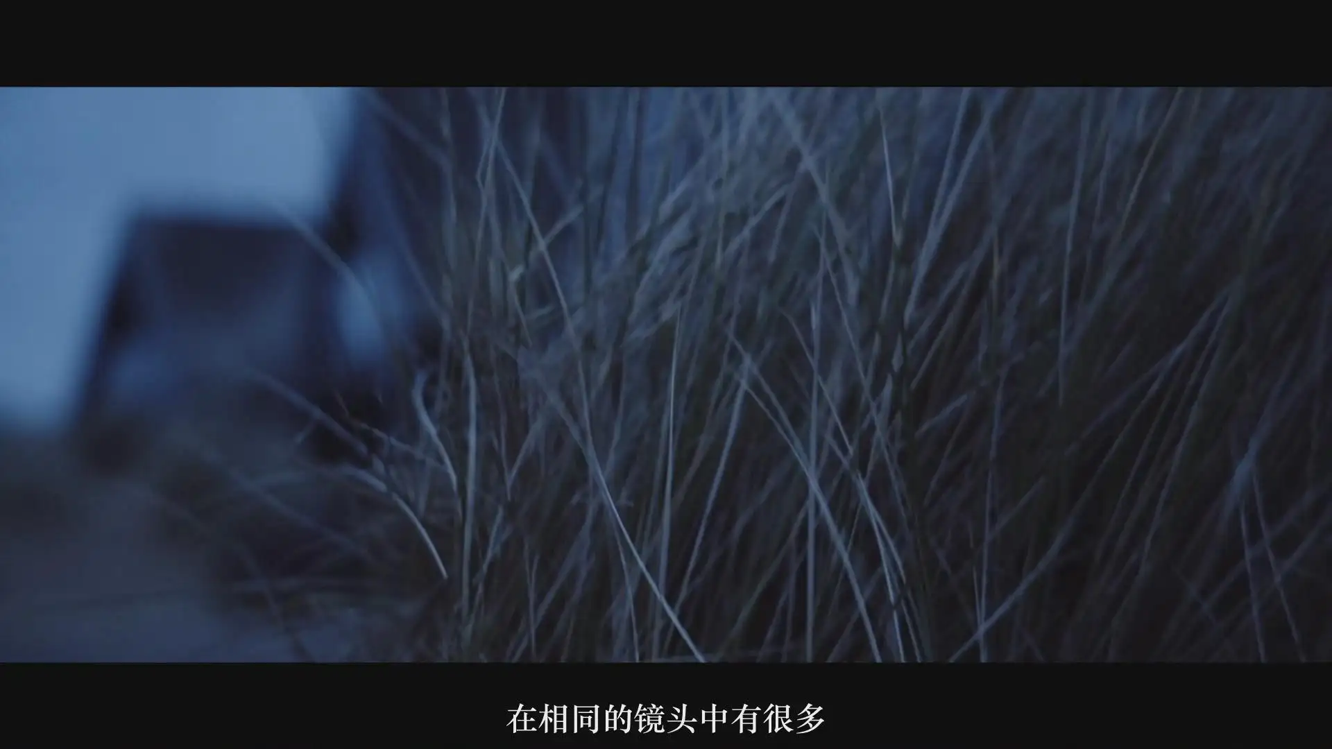 图片[12]-Mzed–Philip Bloom《摄影师摄影》摄影师电影拍摄完整教程-中文字幕-美夕摄影