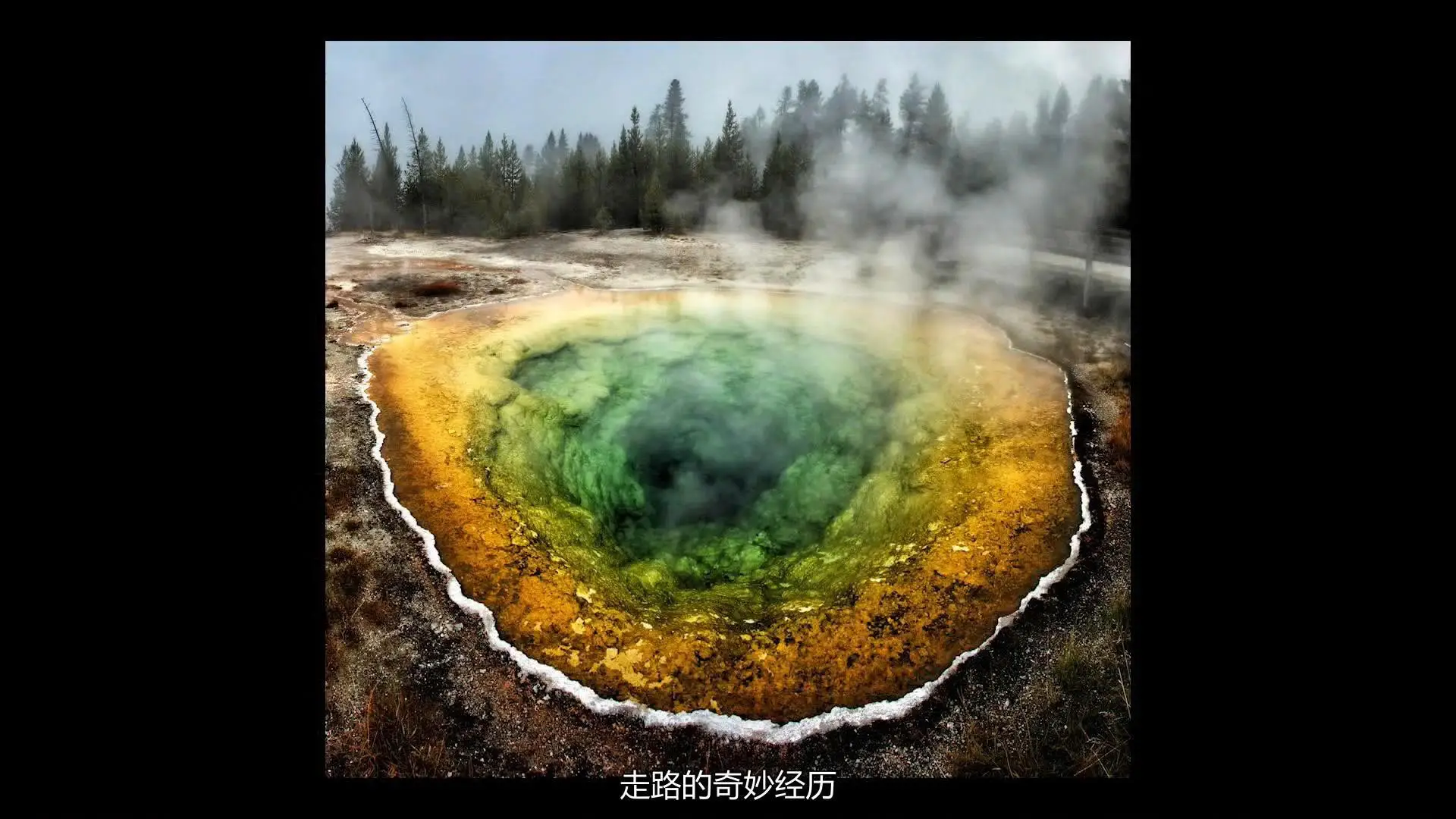 图片[12]-KelbyOne-Rick Sammon黄石公园和大提顿公园风光摄影教程中文字幕