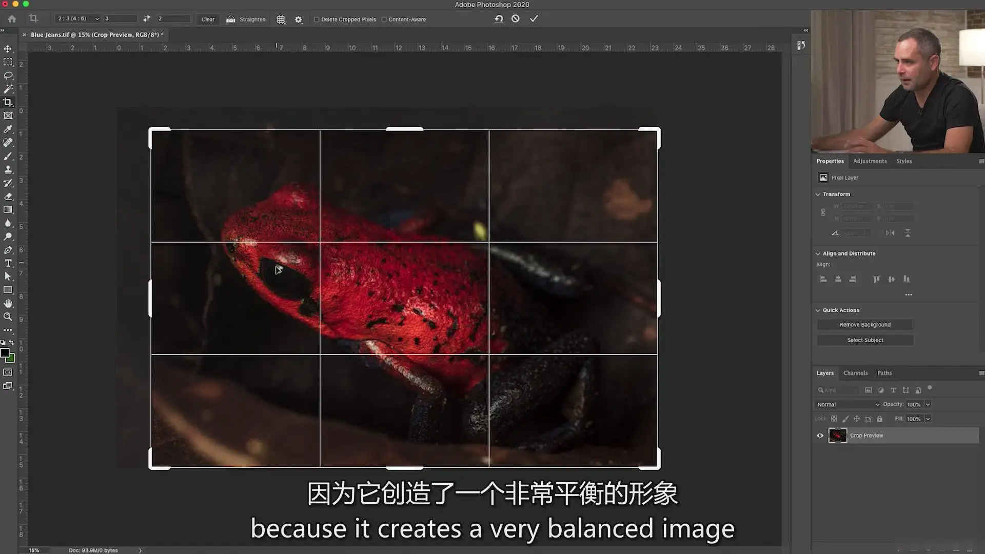 图片[10]-Fstoppers-Andres Moline掌握微距摄影拍摄教程-独家精翻中英字幕
