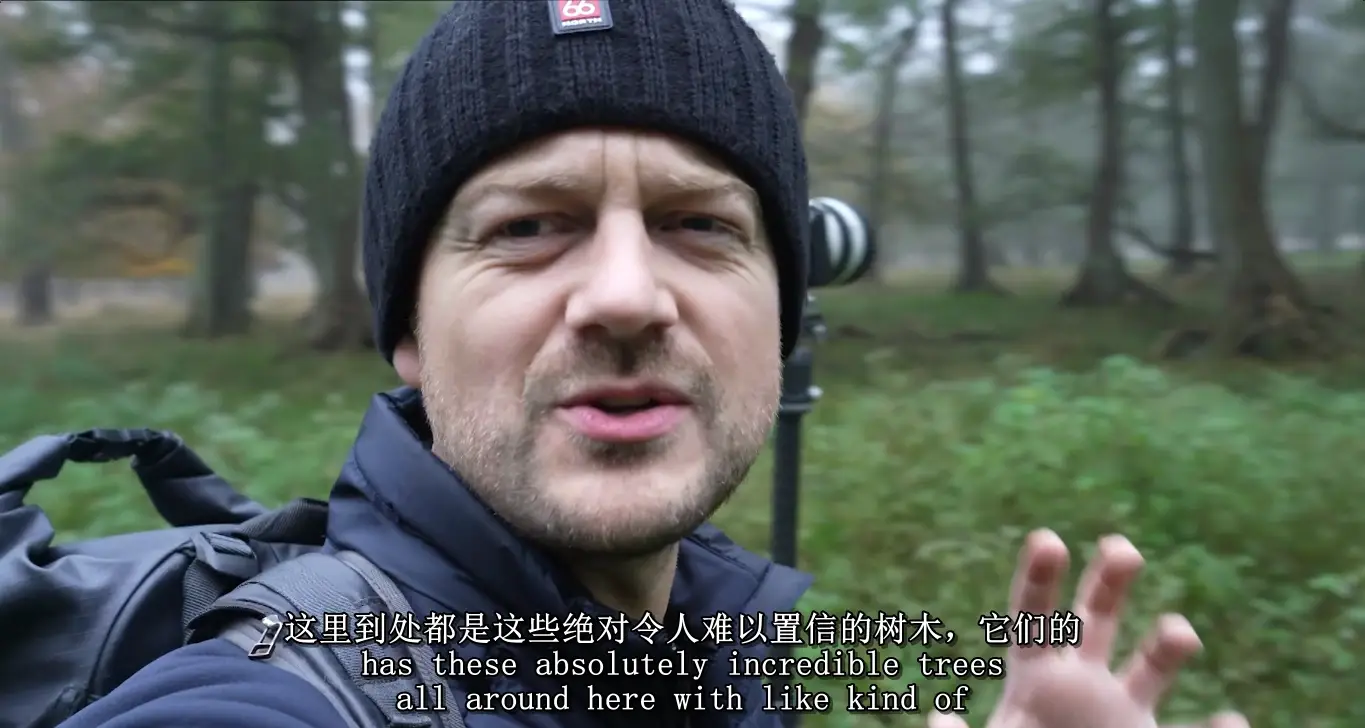 图片[14]-Mads Peter Iversen-林地森林风光摄影构图及后期修图教程-中英字幕
