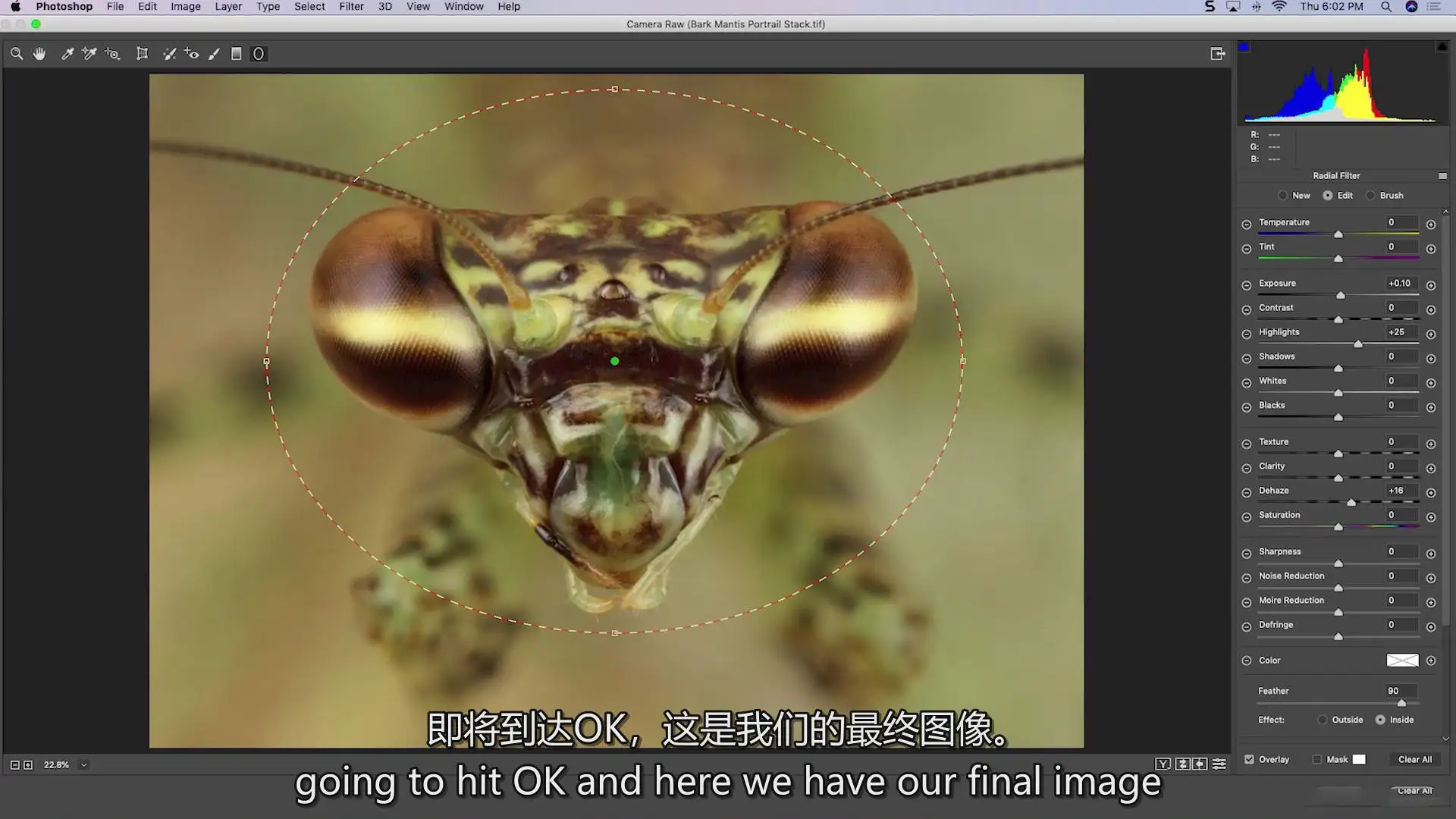 图片[12]-Fstoppers-Andres Moline掌握微距摄影拍摄教程-独家精翻中英字幕