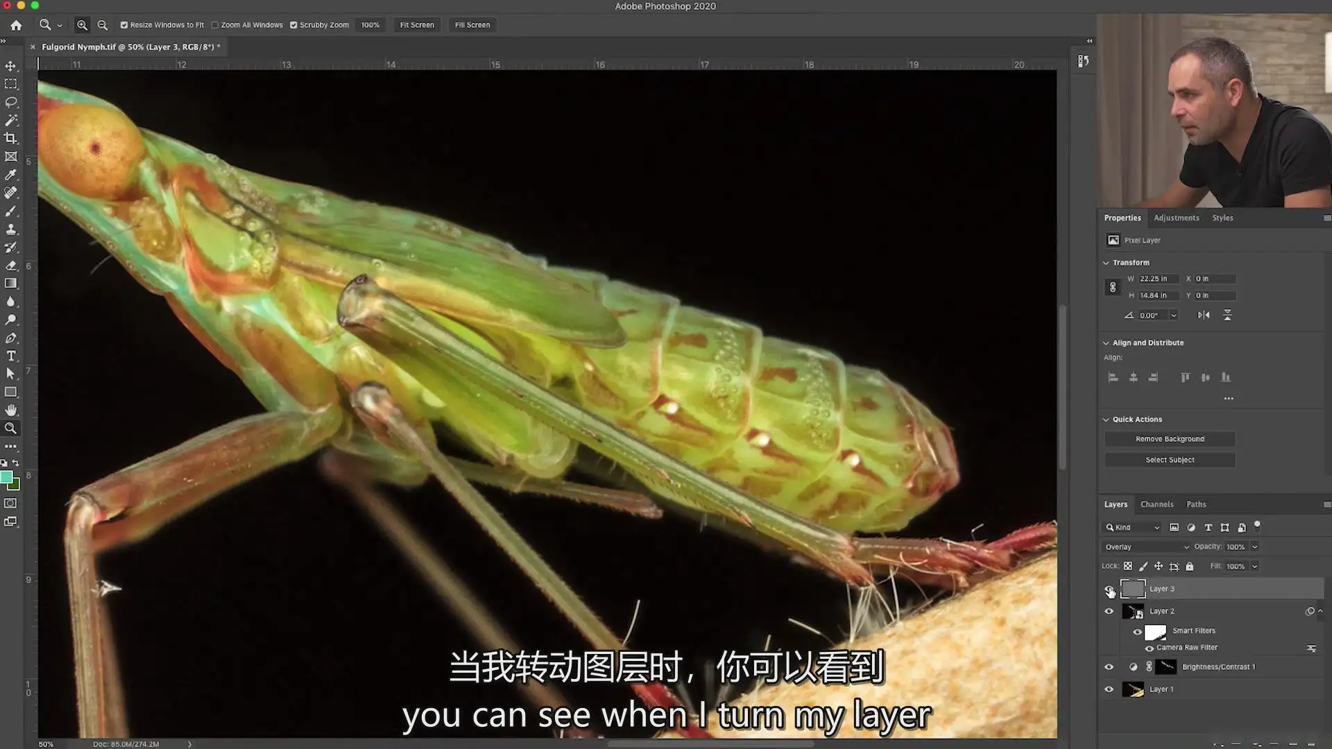 图片[14]-Fstoppers-Andres Moline掌握微距摄影拍摄教程-独家精翻中英字幕