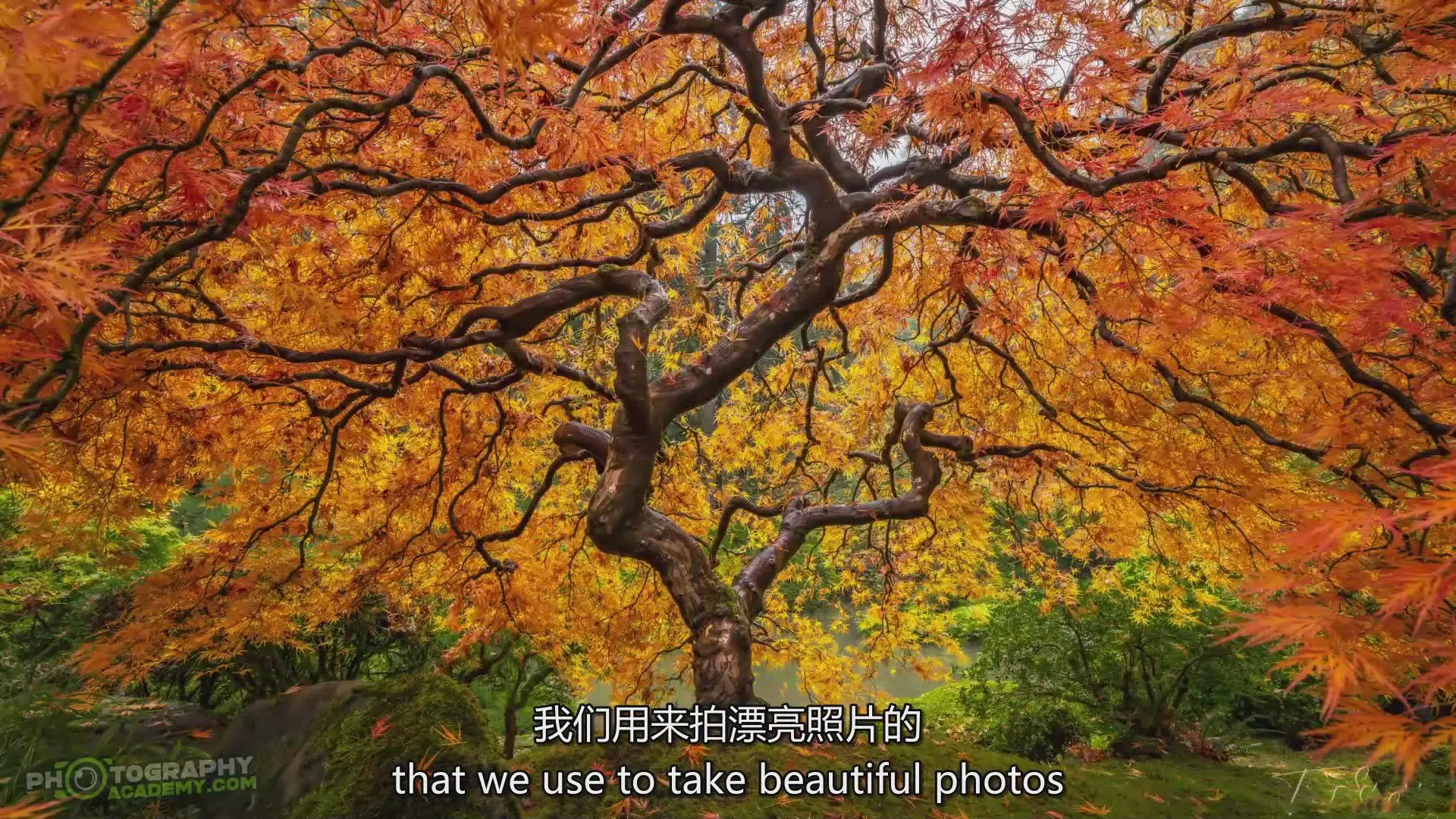 图片[17]-风光摄影师Tim Shields在风光摄影中完美构图的秘密教程-中英字幕