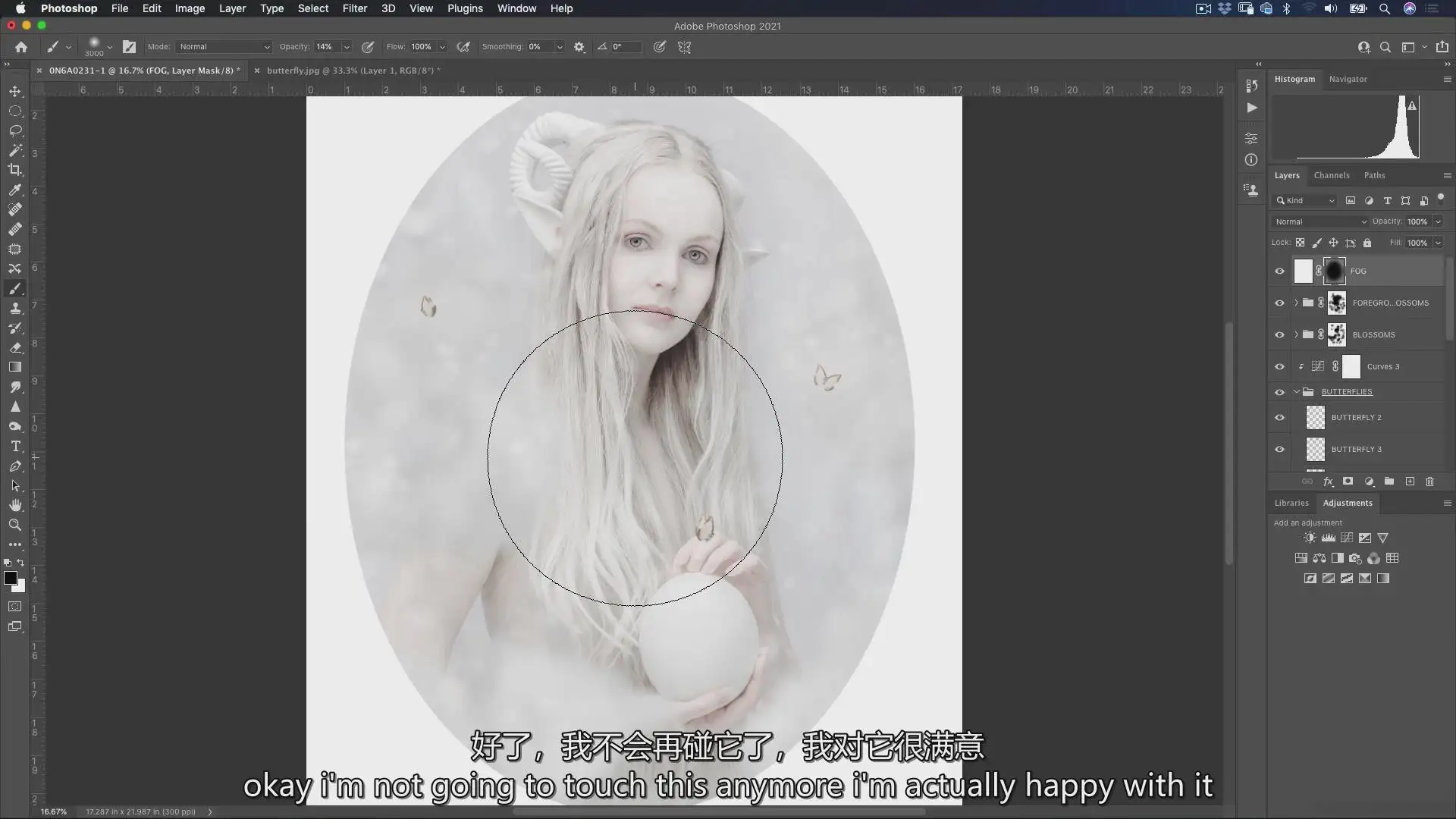 图片[19]-摄影师Richard Wood创意艺术肖像画摄影布光完整教程-中英字幕-美夕摄影